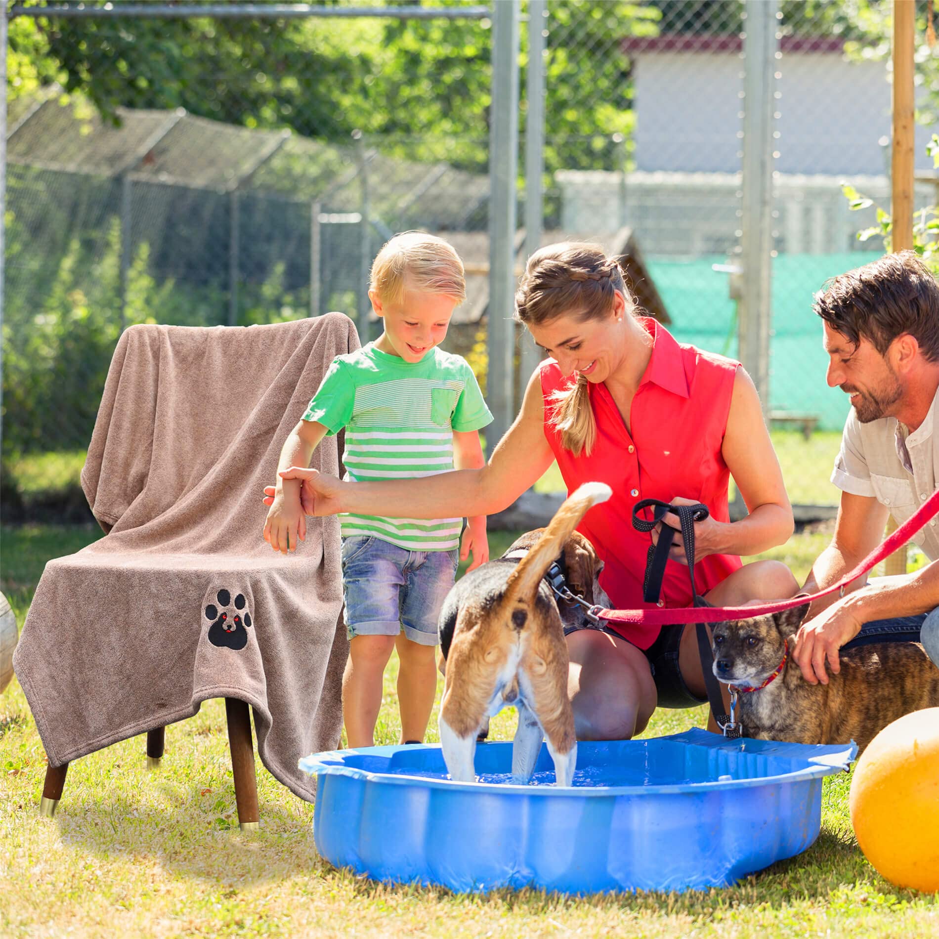 Dogvingpk Paquete de 2 Toallas Extra Grandes para secar Perros, Toalla de baño de Microfibra Suave súper Absorbente, XL, 55 x 36 Pulgadas, Negro y marrón