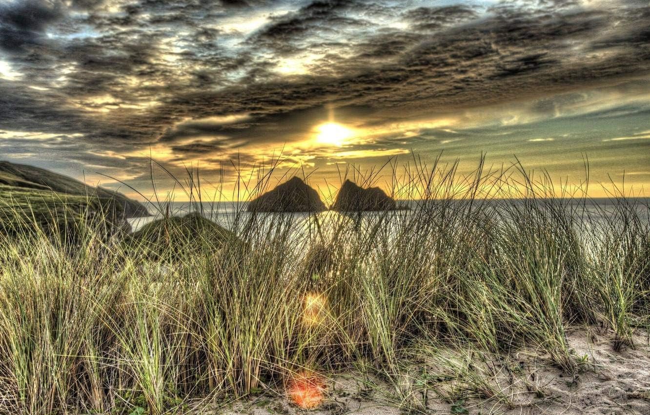 vaporizzatore d'olio per erbaccia