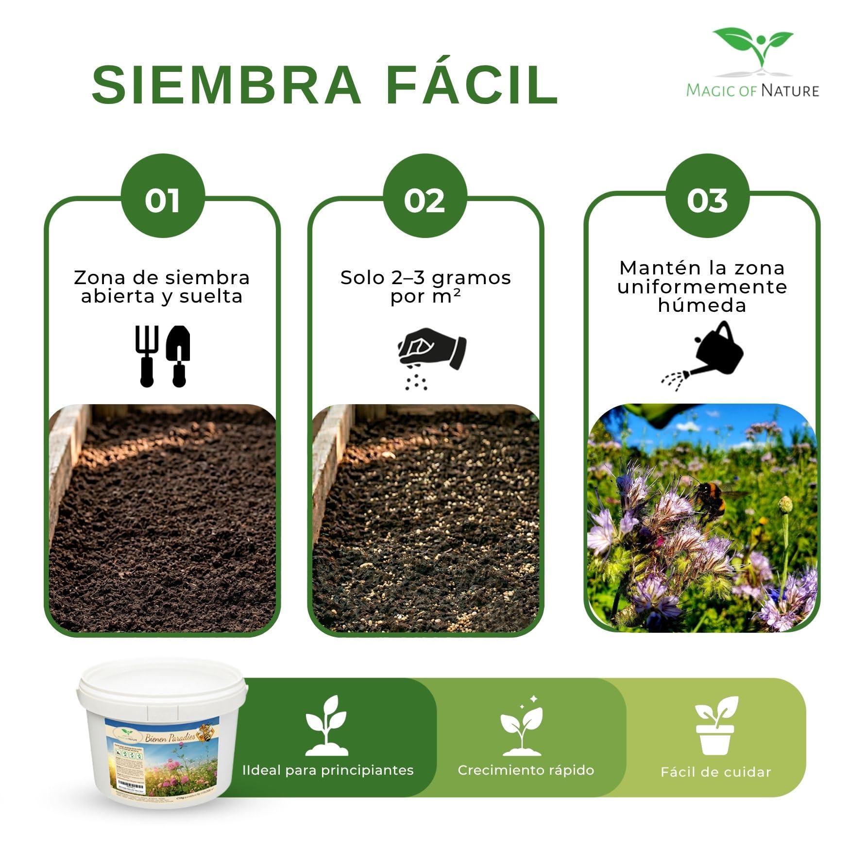 Magic of Nature: 2,5kg Mezcla Semillas Flores - Paraíso Abejas | Pradera Silvestre Melífera - Más de 20 Variedades para 750 a 1250 m²
