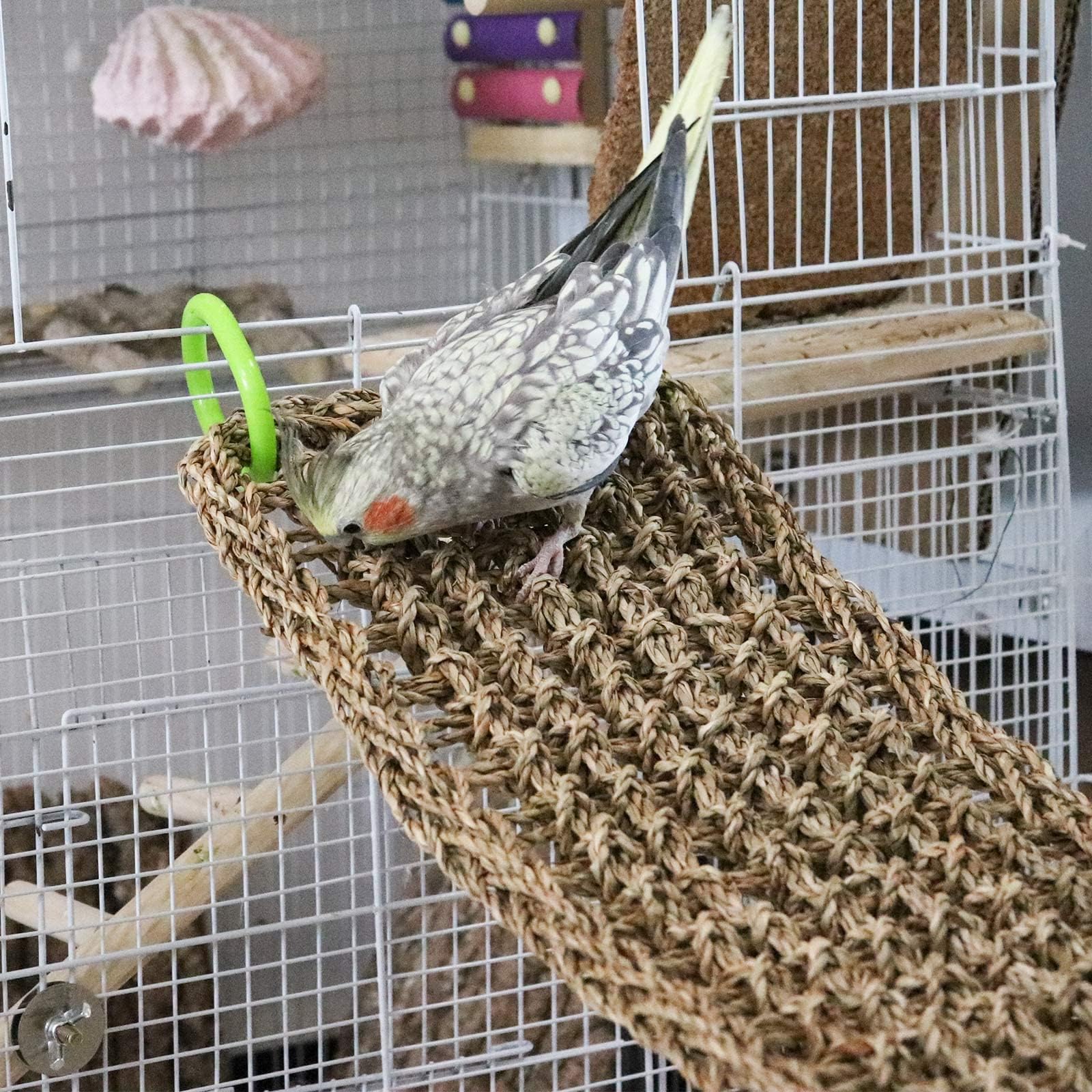 Dnoifne Tappetino in Erba Marina 100 × 18 cm – Rete Intrecciata Naturale con Ganci – Amaca e Scala per Uccelli, Roditori e Piccoli Animali