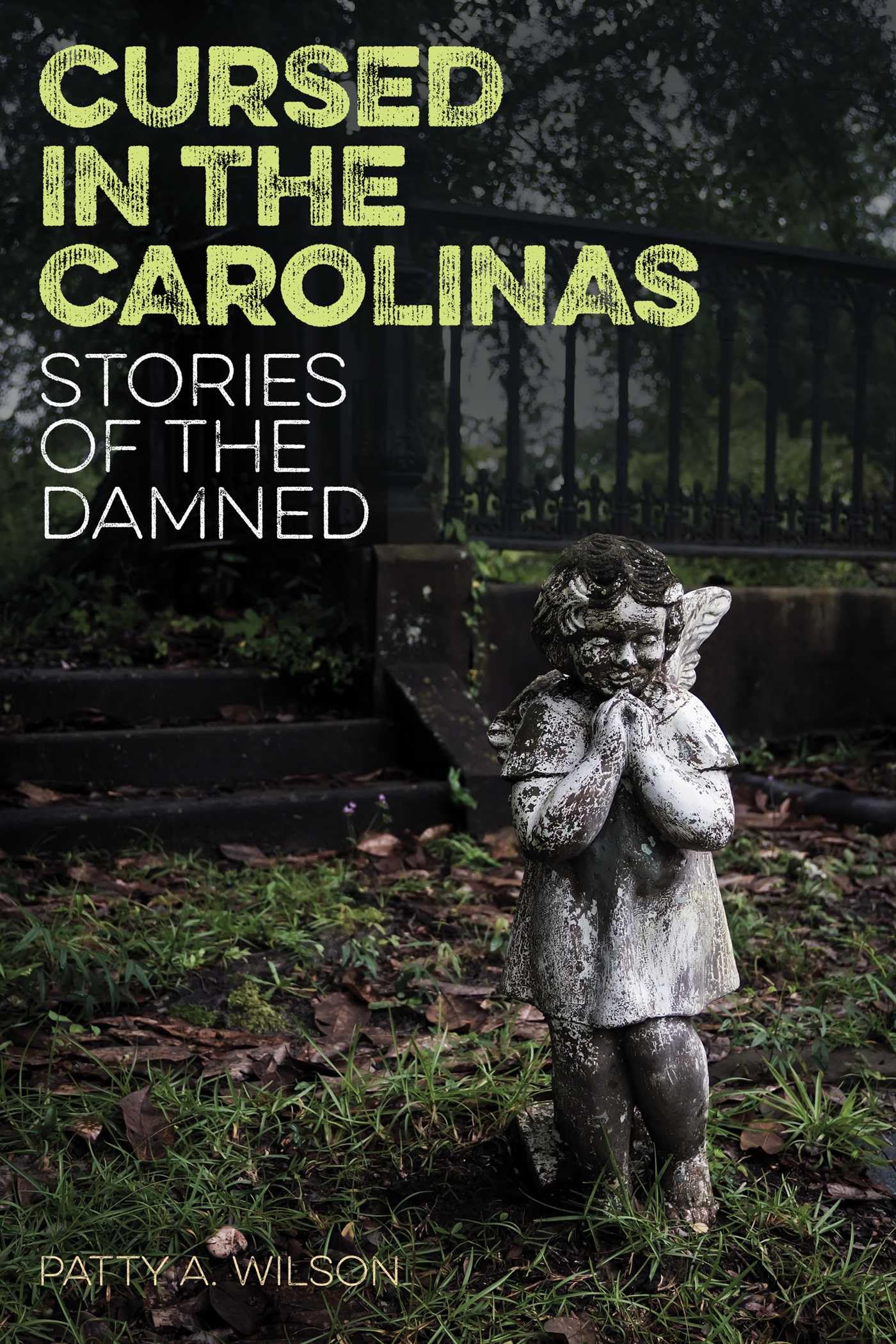 Cursed in the Carolinas: Stories of the Damned