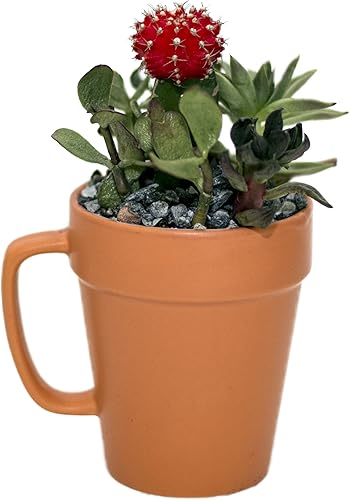 Miniatura 2 de Culver Taza de cerámica de 14 onzas, juego de 2 (color terracota)