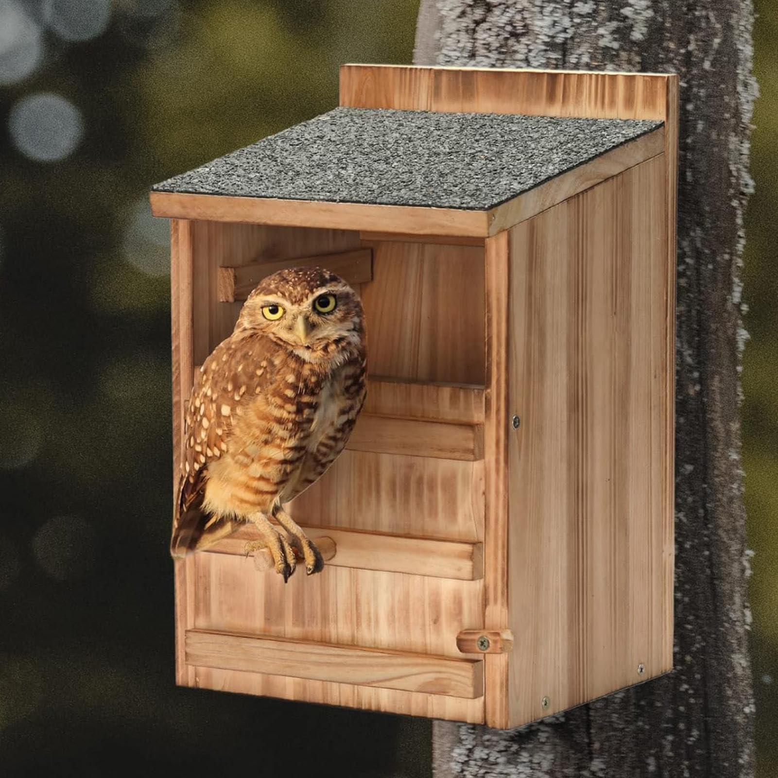 Budki Lęgowe dla Sów na Wolnym Powietrzu Drewniane schronienie lęgowe | Drewniany domek dla sowy Na podwórko, balkon, do ogrodu, trawnik, patio, ganek, do stodoły i farmę