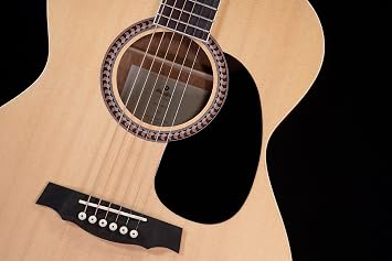 Prodipe SA25 Starter Series Auditorium Acoustic Guitar