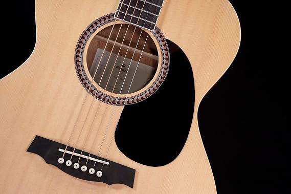 Prodipe SA25 Starter Series Auditorium Acoustic Guitar