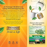 Vista 626 de Twinings Blackcurrant Breeze - Té negro, 6 paquetes de 20 unidades, bolsas de té envueltas individualmente, dulce, sabor picante, con cafeína