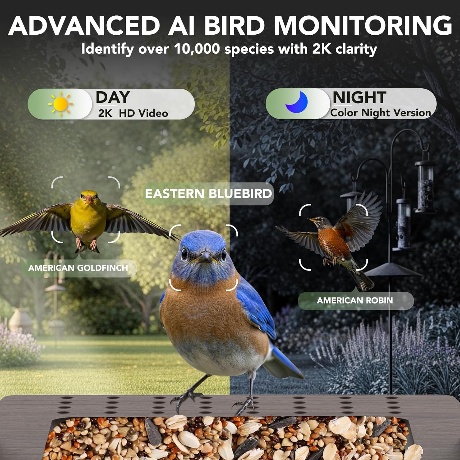 Smart Bird Feeder with Camera Solar Powered - Biomimetic Design, 2K Video, AI Identify Species & Instant Arrival Alerts, Weatherproof, Night Vision, App Sharing, Gift for Family & Bird Lovers