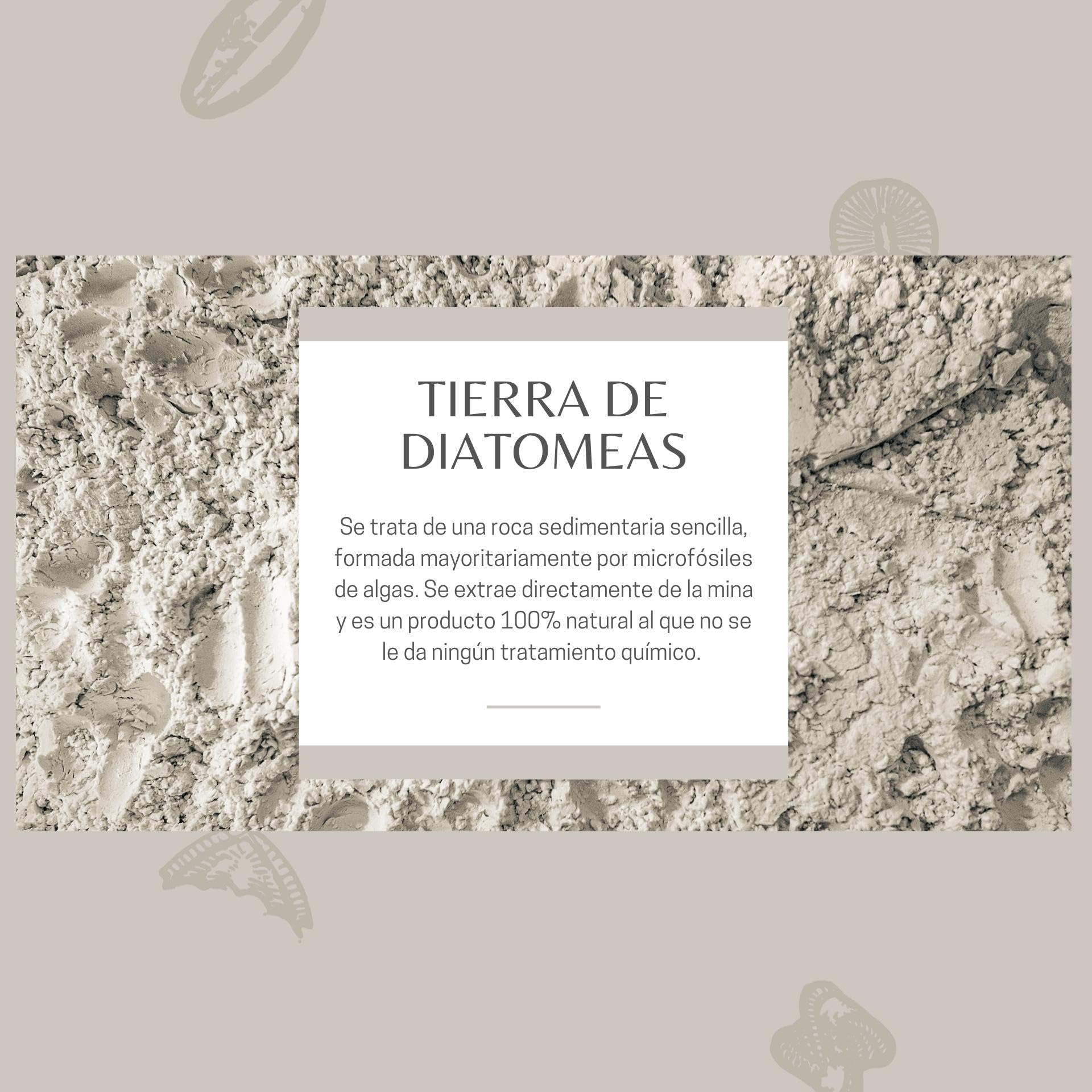 Tierra de Diatomeas Micronizada - 100% Natural y Ecológica - Saco de 20 kg y Botella pulverizadora - Múltiples Usos en Agricultura, Mascotas y Superficies