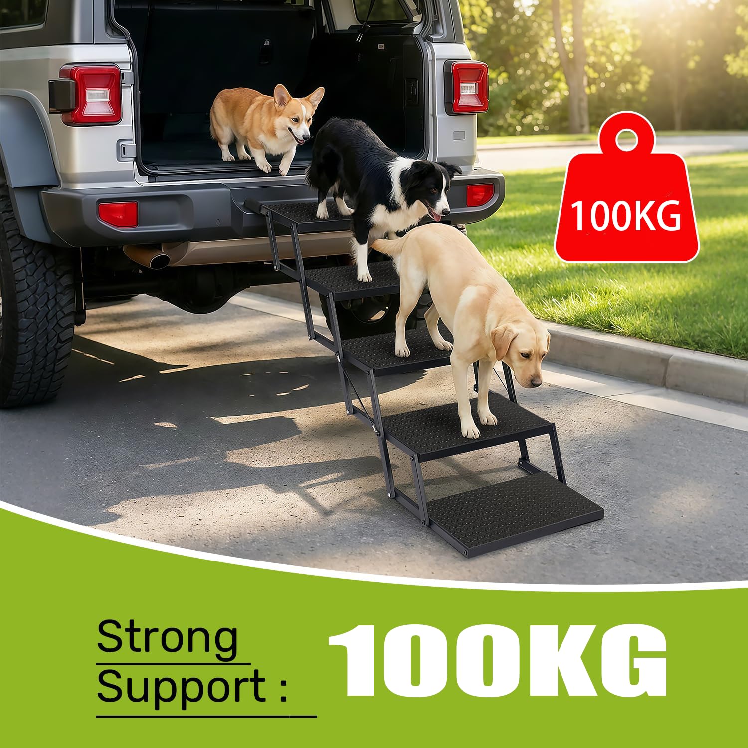 Rampa per Cani Pieghevole,Scaletta per Cani 5 Gradini, superficie antiscivolo, scala pieghevole per cani fino a 100 kg, per animali domestici, auto, SUV, furgoni