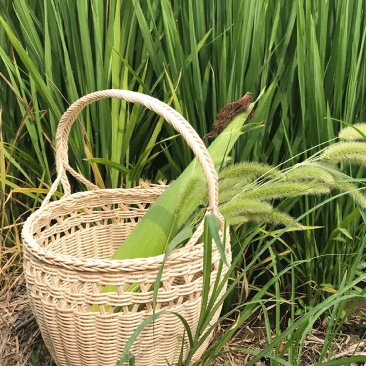 Rattan Gurtband Rollen 10m 6mm für Möbel Reparaturen Stühle Schranktüren