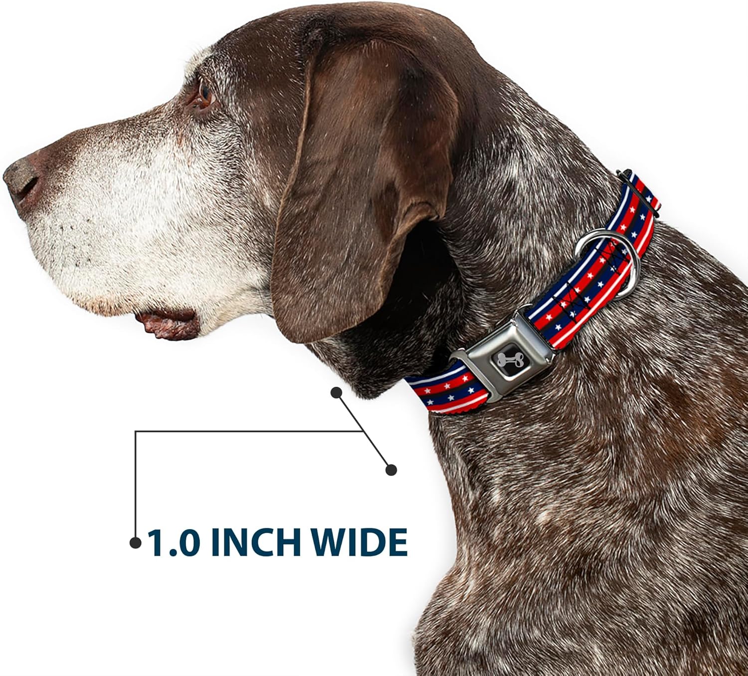 Buckle-Down Dog Collar Seatbelt Buckle Americana Stripe Stars2 Blue Red White 9 to 15 Inches-Small 1.0 Inch Wide, Multicolor