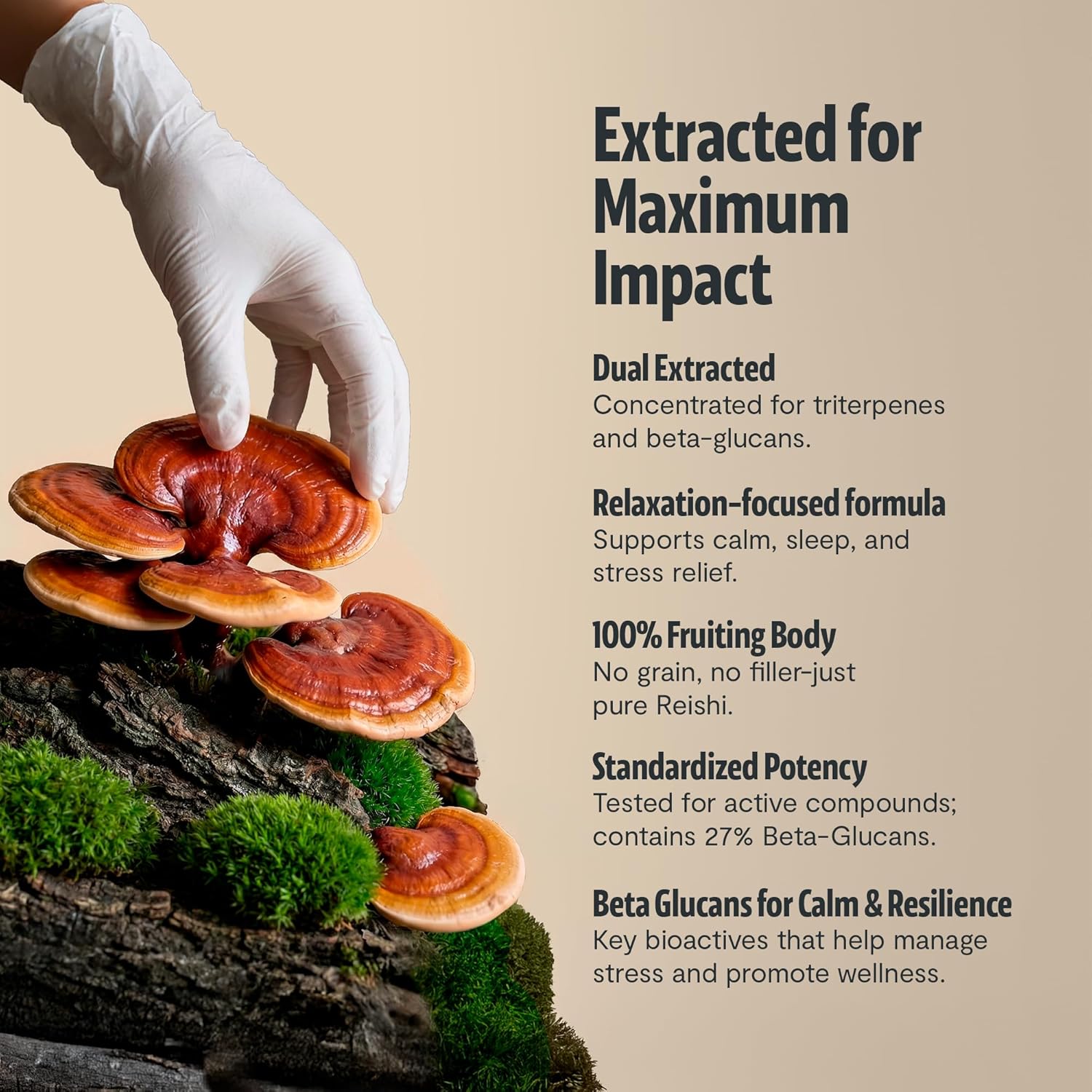 FreshCap Mushrooms Reishi Mushroom Powder 14,000mg - Organic Mushroom Extract Supplement Powder, Ayurveda Nootropic Red Reishi Supplement Blend (60 Servings) - Image 3