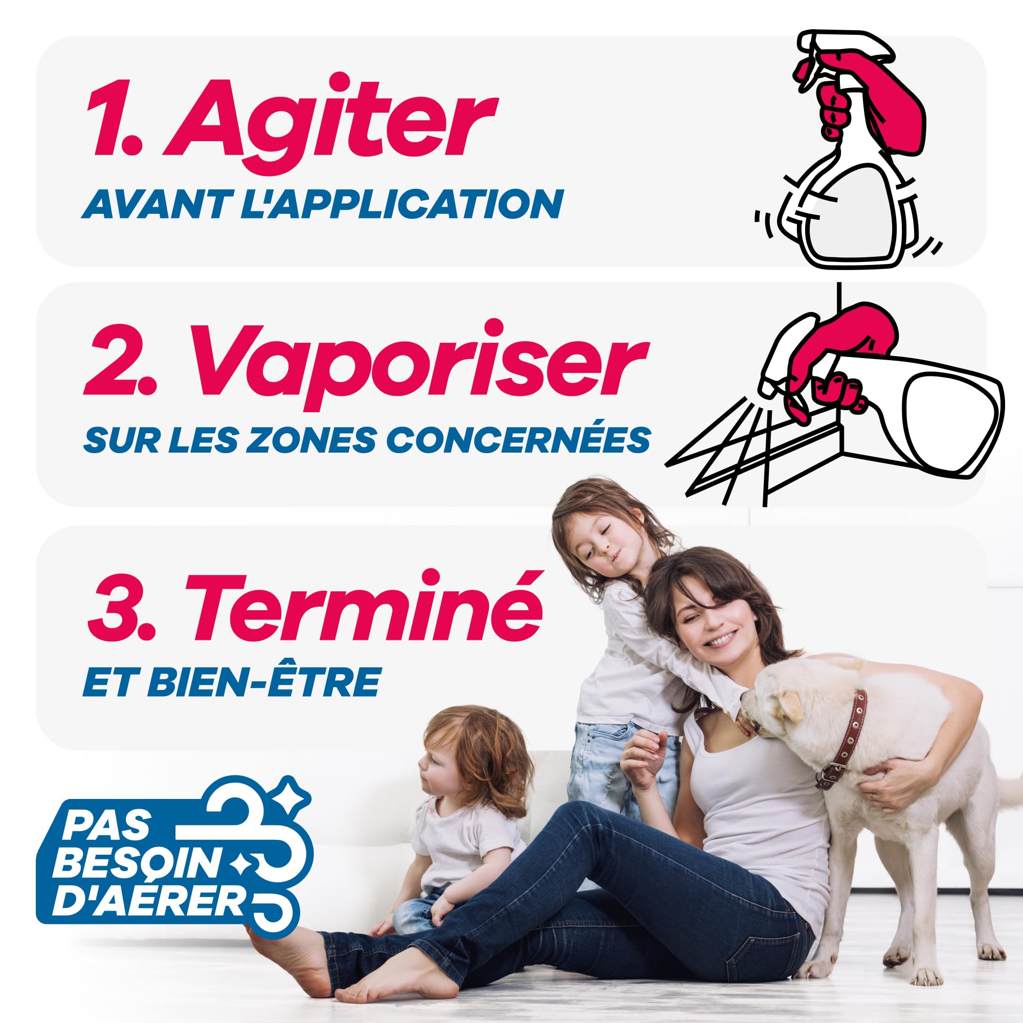 GEROBUG Spray Anti puces Maison 500 ML - Spray Anti puces pour la Maison, Les Meubles et Les Textiles - Lutte Contre Les puces Chat dans Le lit - Spray Anti-puces pour Chiens