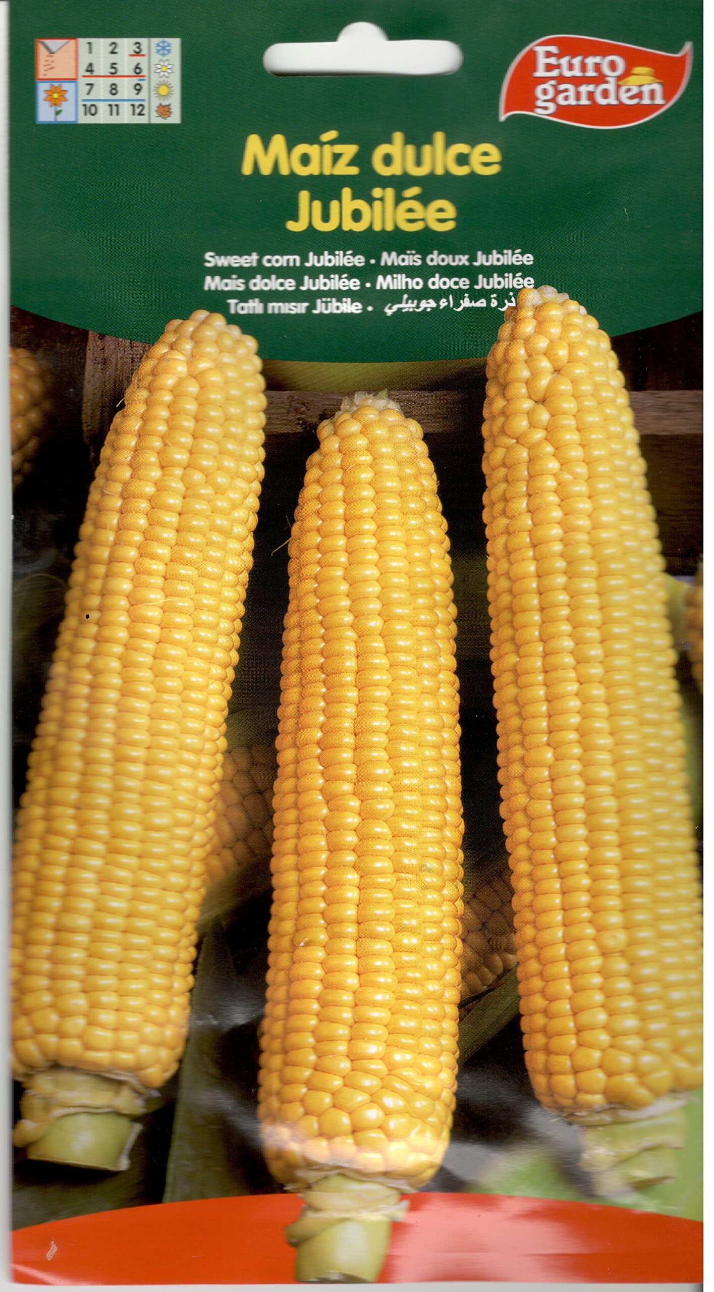 Euro Garden Sweet Corn