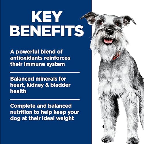 Miniatura 4 de Hill's Science Diet Small & Mini, adulto mayor 7+, razas pequeñas y mini, nutrición premium para personas mayores, comida húmeda para perros, pan de