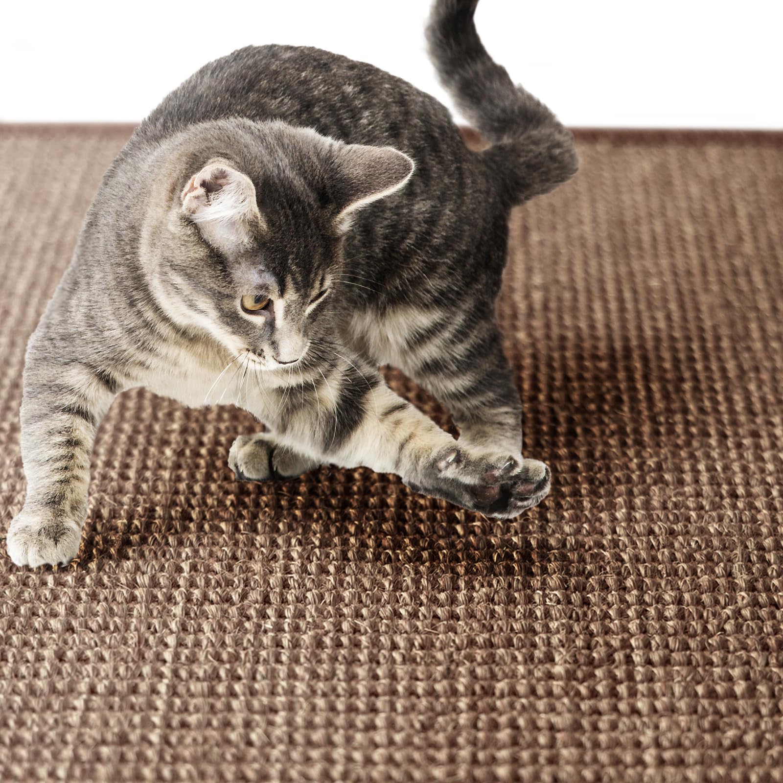 Floordirekt Alfombra Rascador Suelo para Rascar Gatos Redonda, 120 cm de diámetro, de Sisal Natural, Posibilidades de Arañar para Gatos, Muebles para Pared o Suelo, Resistente y Lavable, Corcho