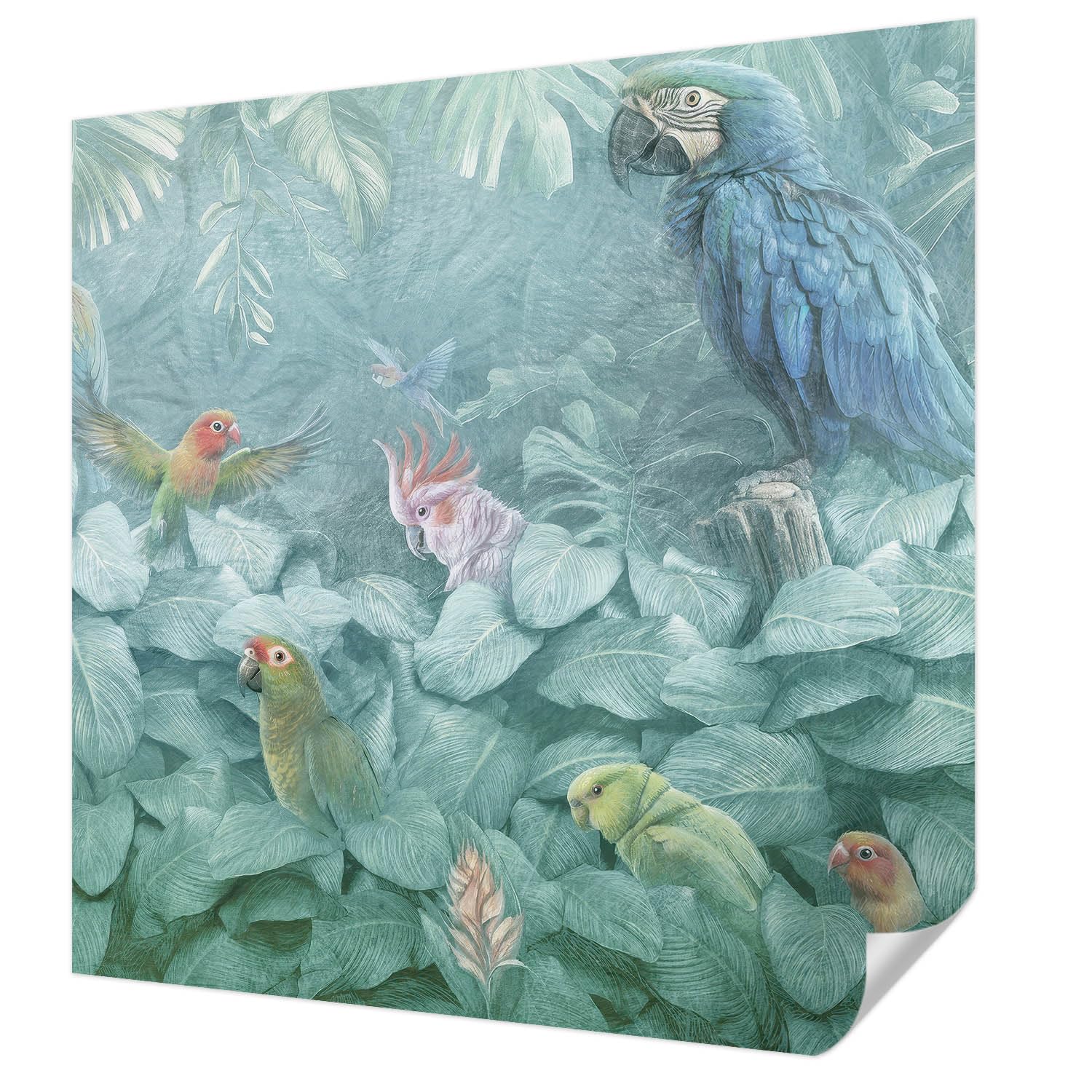 Papier peint autocollant sans colle oiseaux exotiques Tulup 250x250