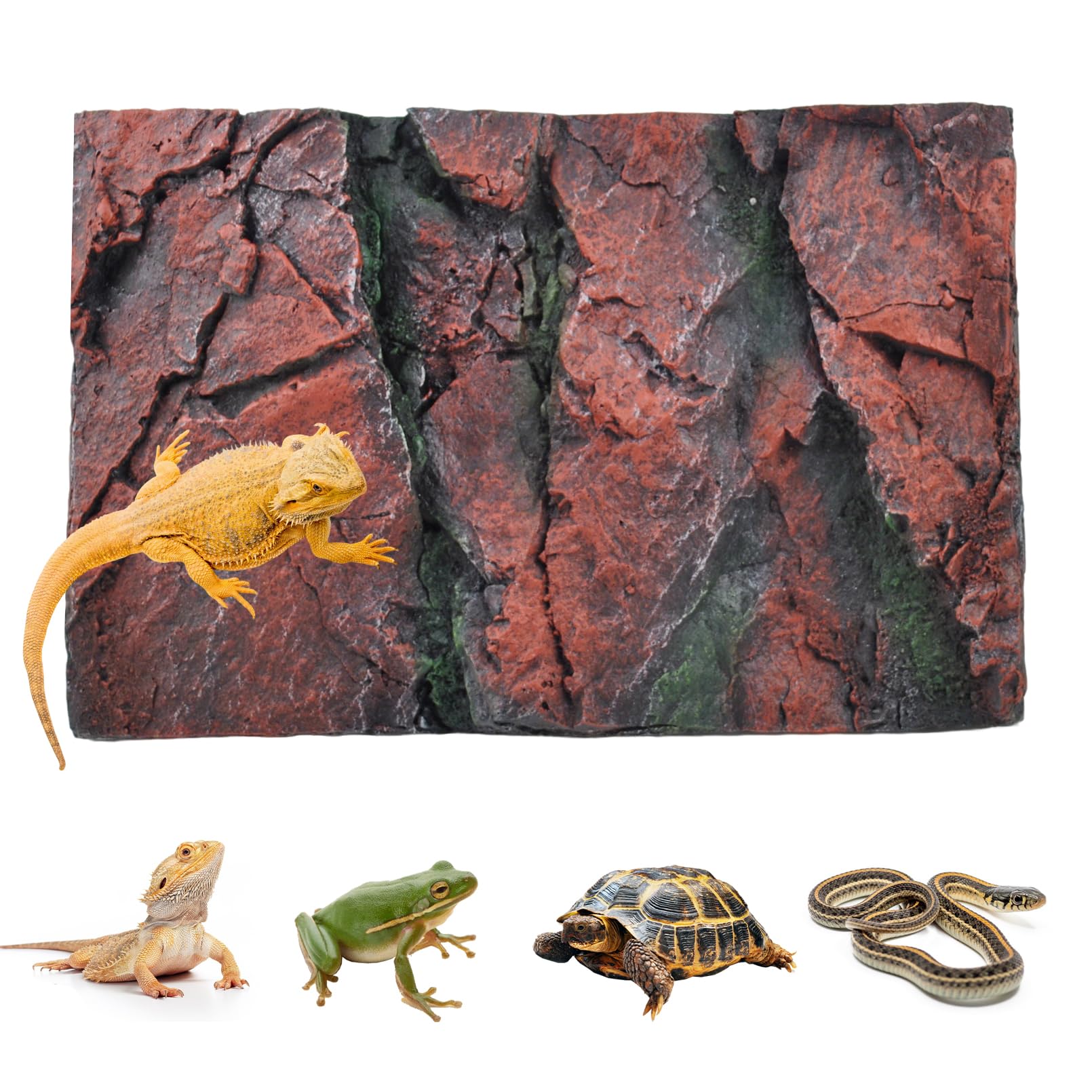 Toile de fond 3D pour aquarium, terrarium en liège, décoration d'habitat amphibien, lézard, gecko, dragons barbus, tortue