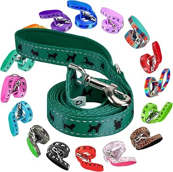 EcoBark Dog Leash - Soft & Reflective Comfort Leash with Padded Handle - Strong Durable Heavy Duty - Training and Pulling for Small, Medium or Large Dogs Forest Green