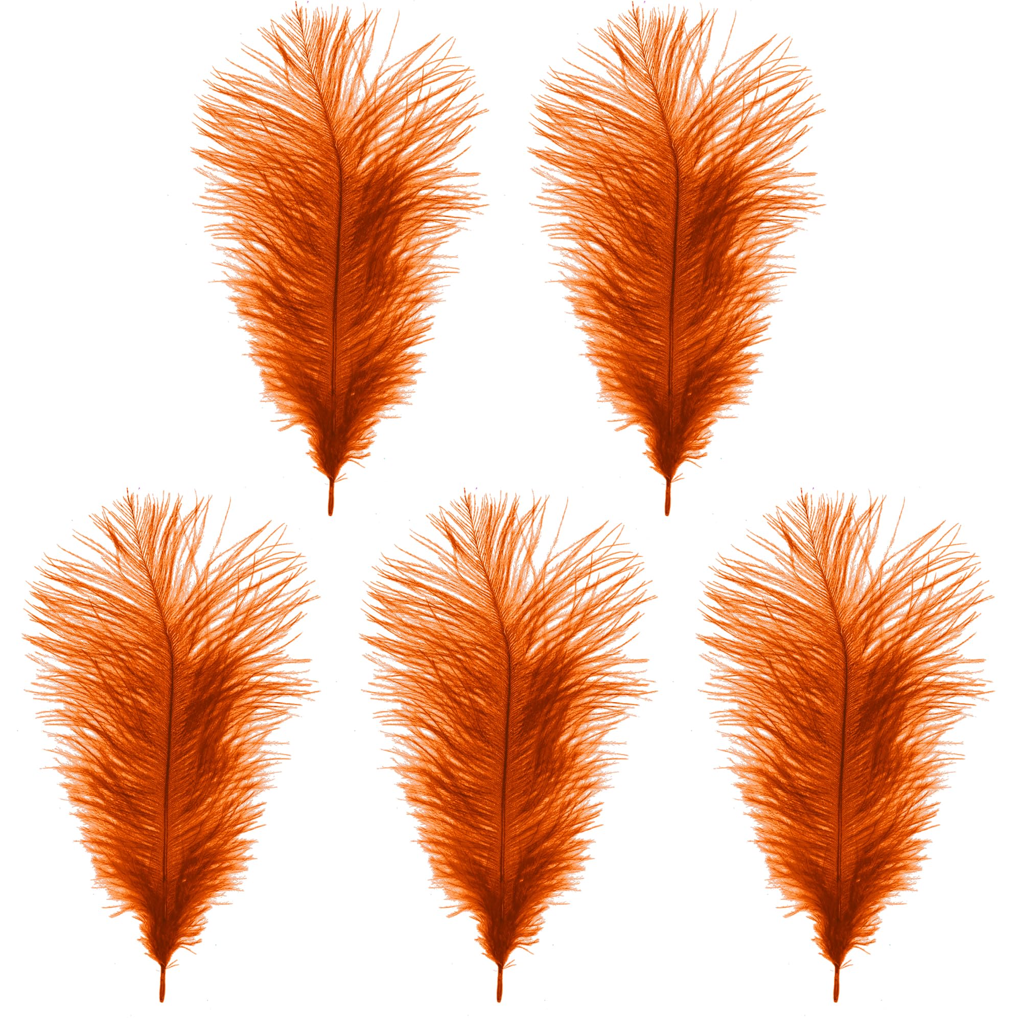 WedDecor Orange Natural Ostrich Feathers 14-16" (35-40cm) Long for Wedding Centerpieces, Home, Decorating Costumes, Embellishment, Art & Craft, Parties (Pack of 5)