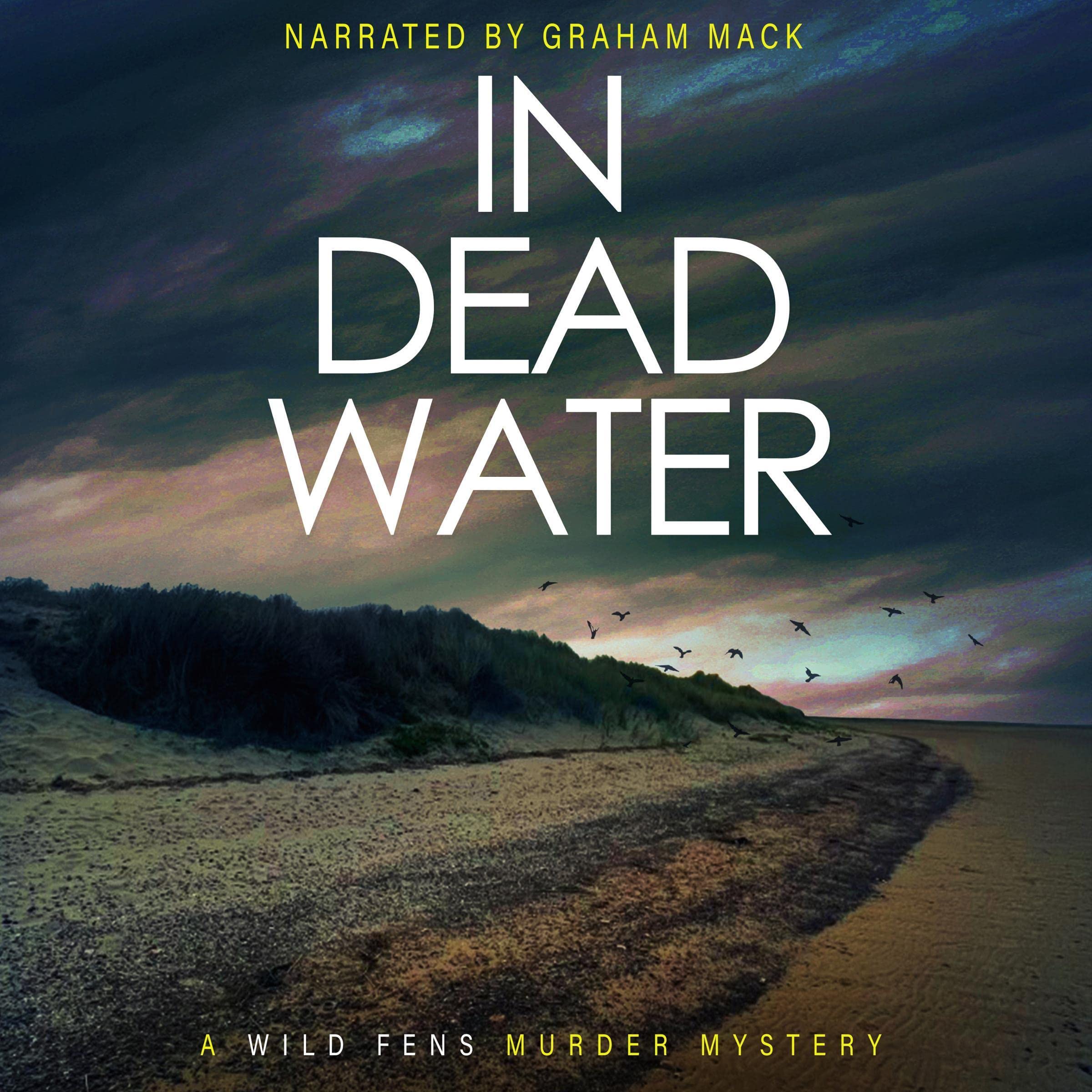 Cover art for In Dead Water