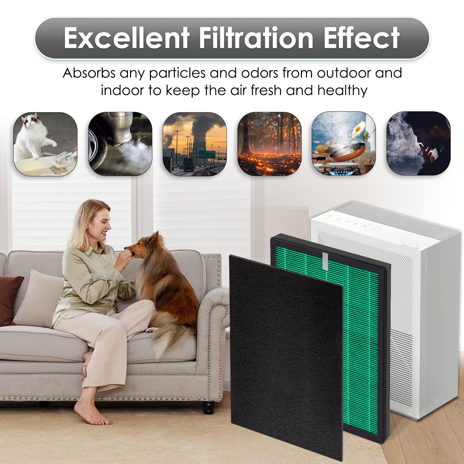 (2 pezzi) Airmega 150 filtri di ricambio per purificatore d'aria Coway Airmega 150, H13 True HEPA e filtro ai carboni attivi, 2 filtri verdi e 10 filtri a carbone attivo, AP-1019C-FP
