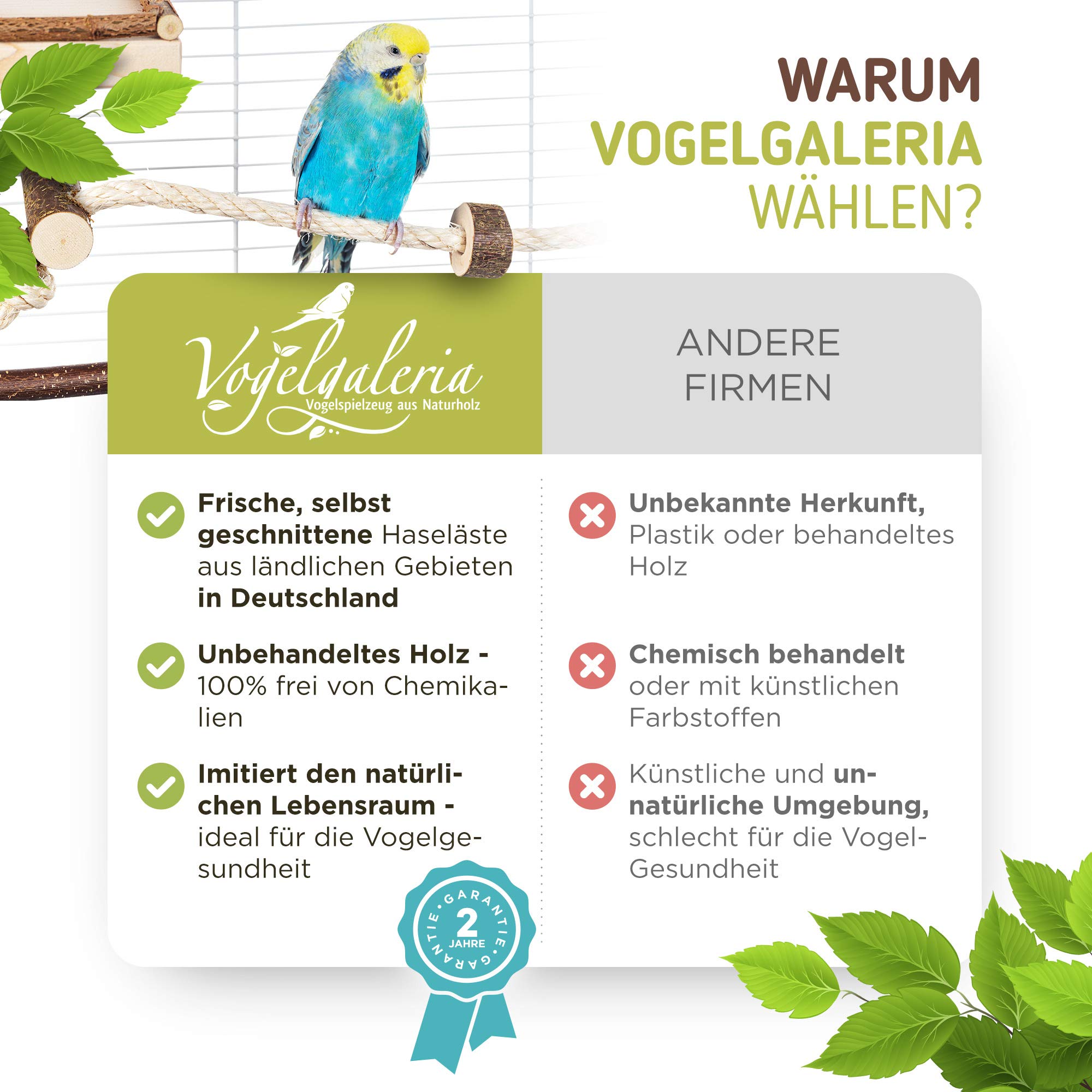 Juego de Jaula básica de 10 Piezas con Perchas Naturales Columpio de pájaro, Asiento, Barra de sedimentación y Percha de Cuerda Jaula para Budgerigar, Cockatiel | Accesorios para Jaula de pájaros