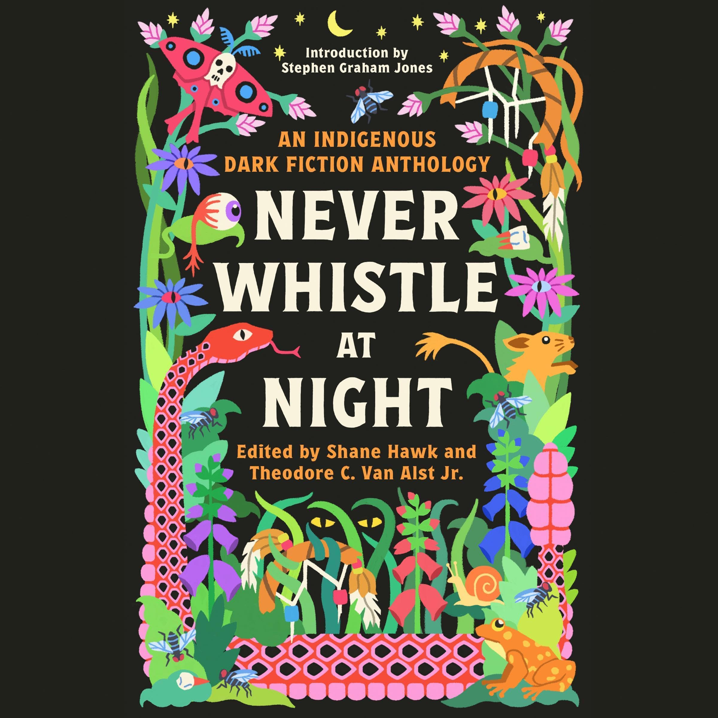 Cover art for Never Whistle at Night: An Indigenous Dark Fiction Anthology