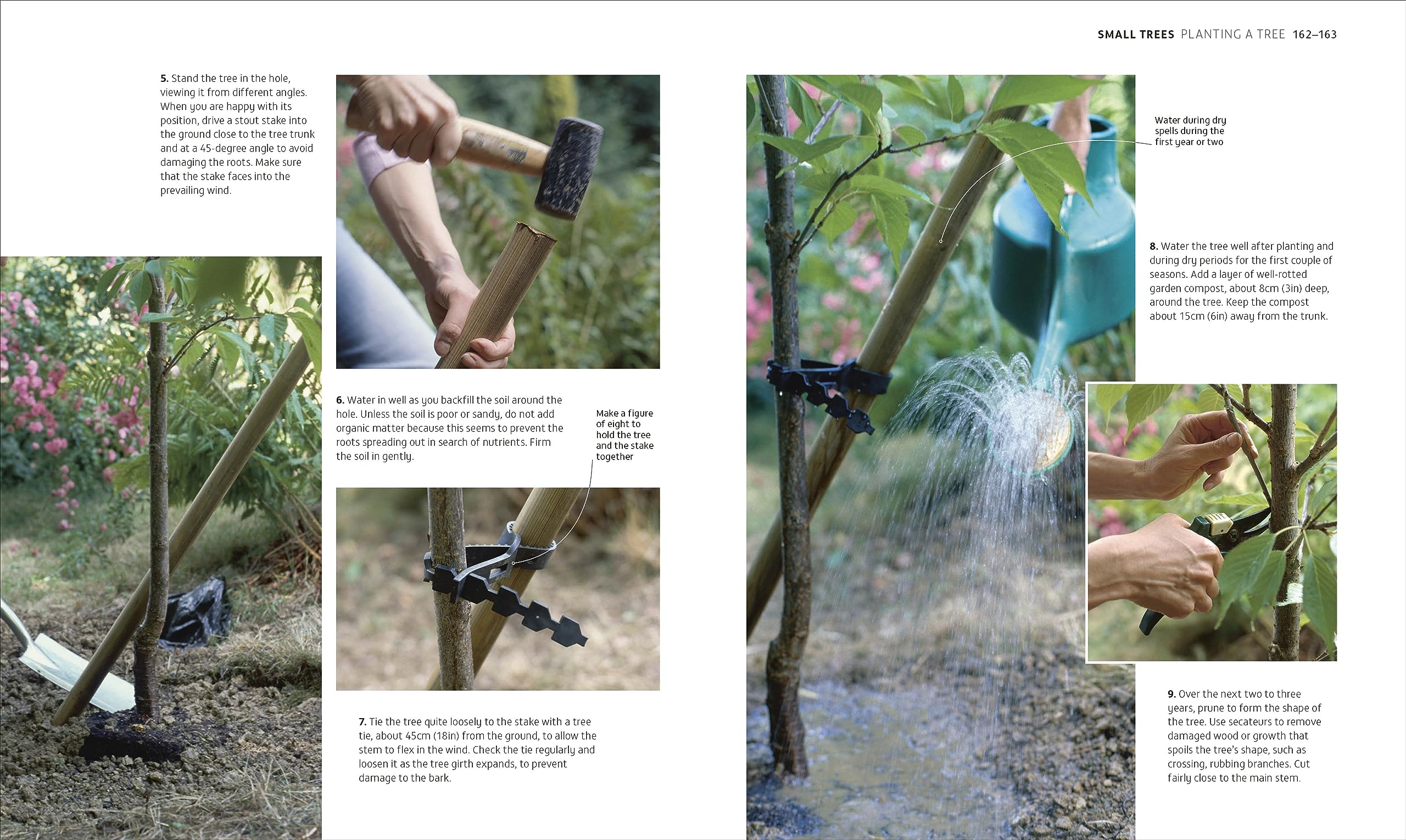 RHS How to Garden When You're New to Gardening: The Basics for Absolute Beginners