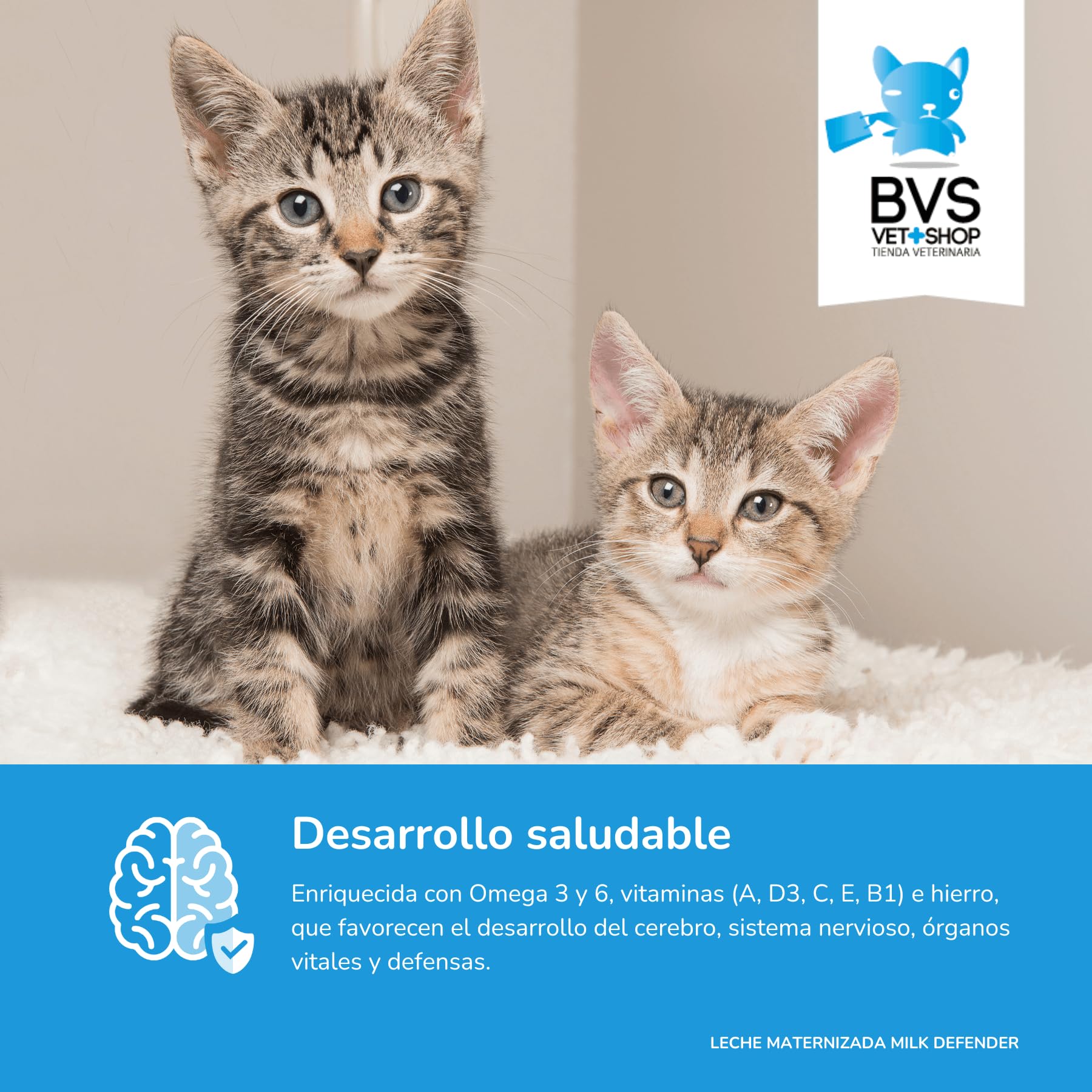 BVS Vet Shop | Leche Maternizada para Gatos Milk Defender | Alimento Completo de Lactancia para el Cuidado Integral de Gatos Cachorros | 1 unid. x 140 gr