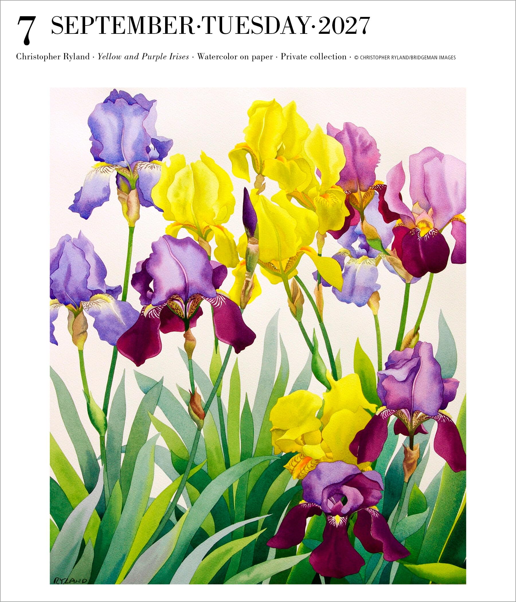 Art Page-A-Day® Gallery Calendar 2027: The Next Best Thing to Exploring Your Favorite Museum