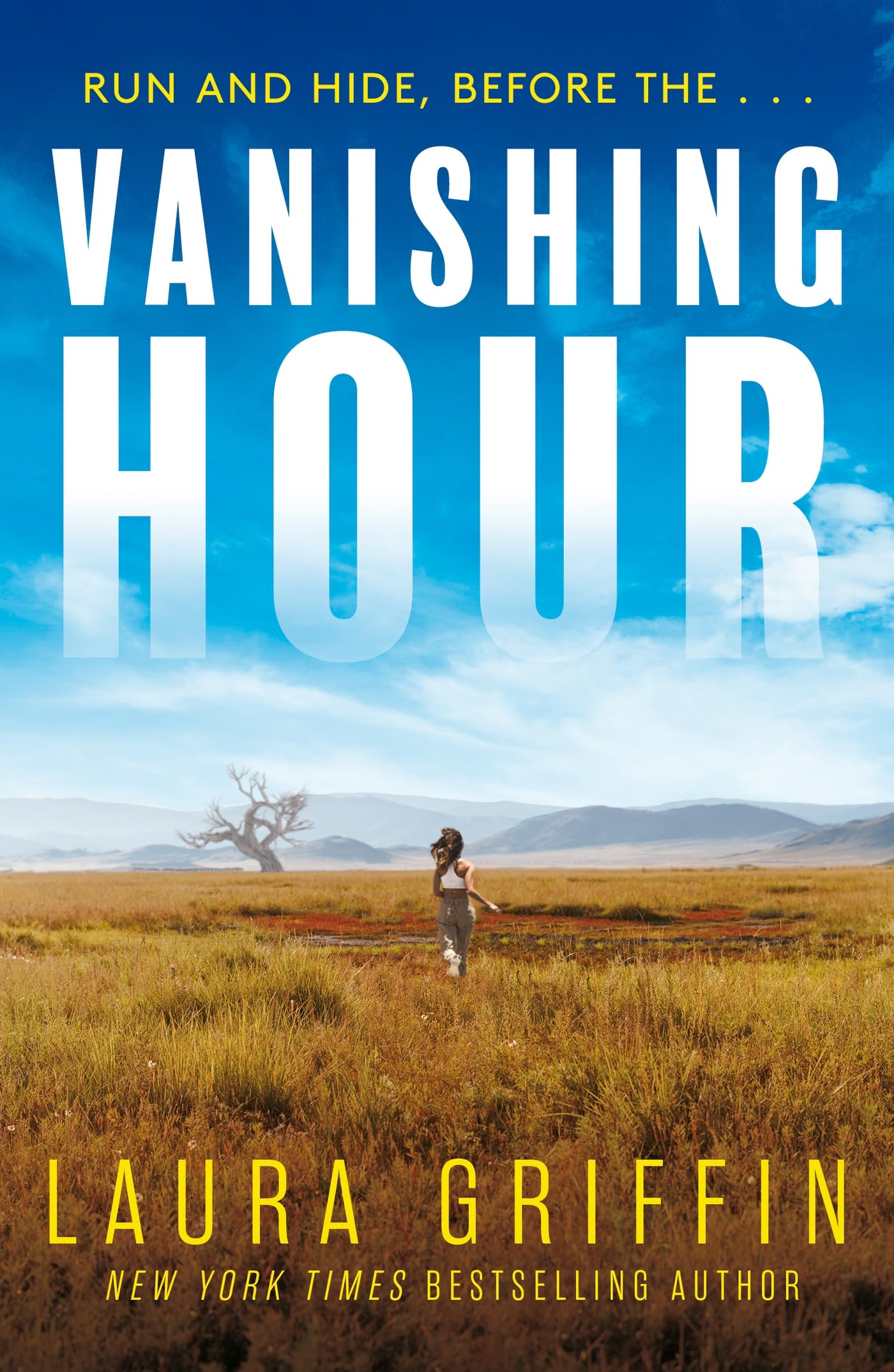 VANISHING HOUR Paperback – 25 October 2022