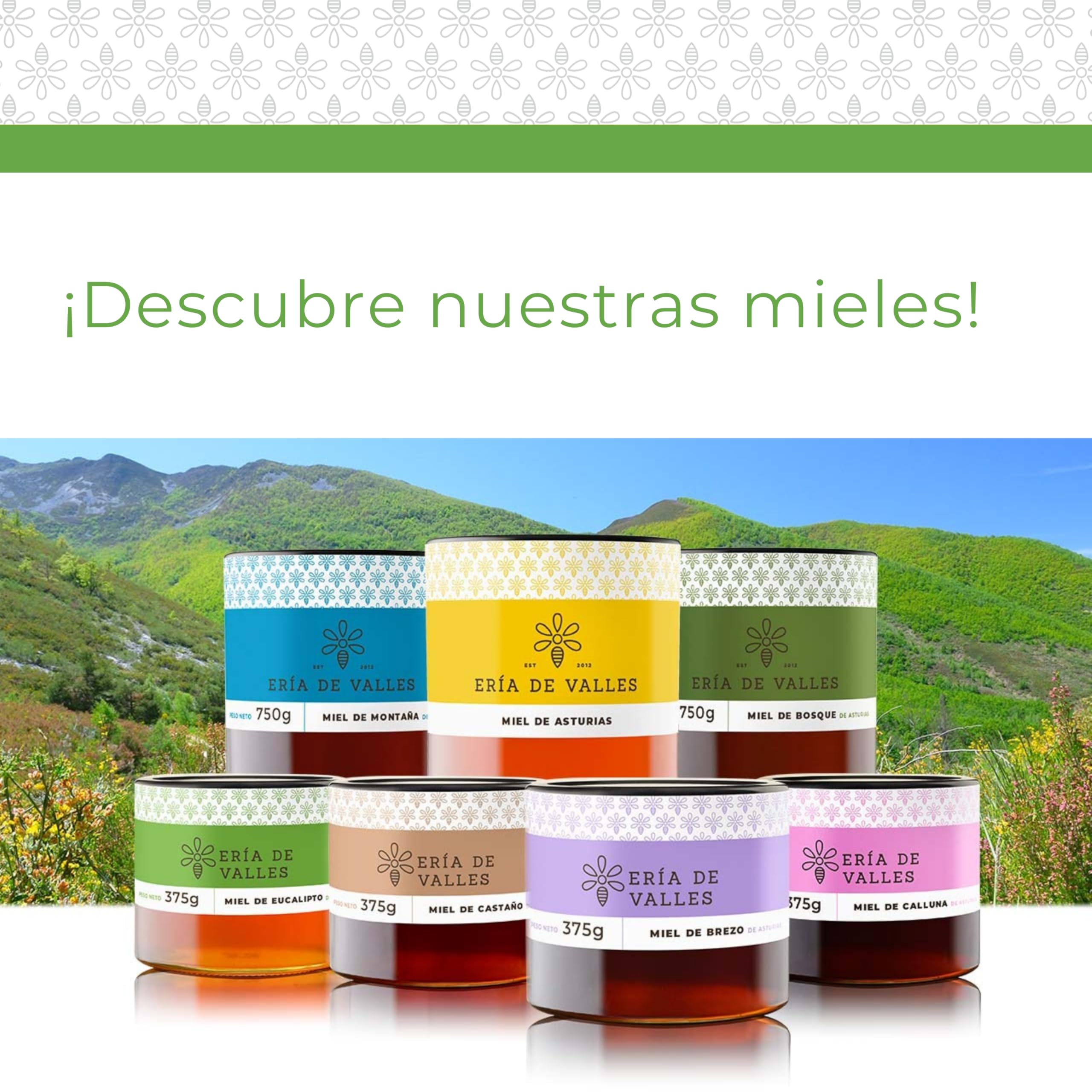 Ería de Valles – Miele di eucalipto naturale al 100% delle Asturie – Aroma floreale e fresco, sapore delicato e persistente – Miele grezzo fatto a mano (750 g)