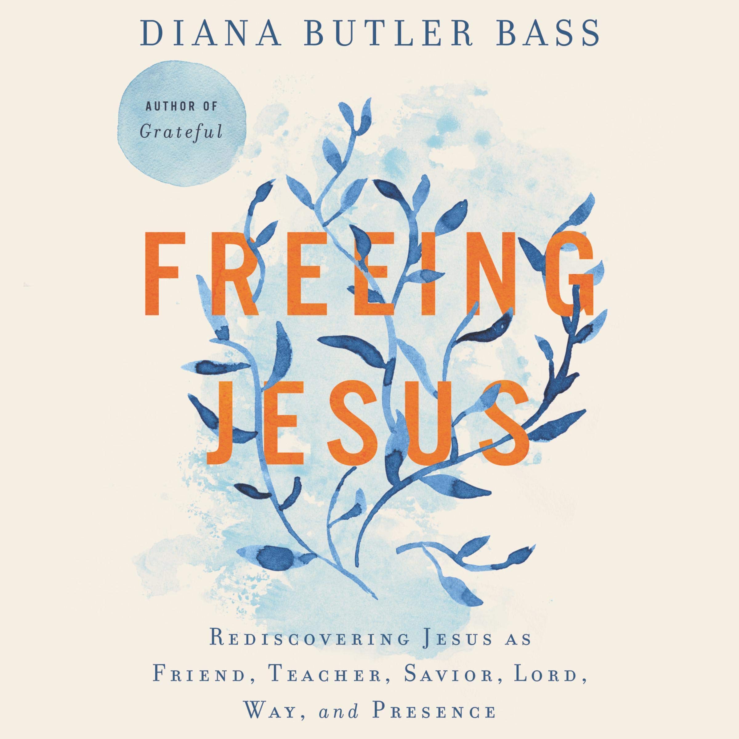 Cover art for Freeing Jesus