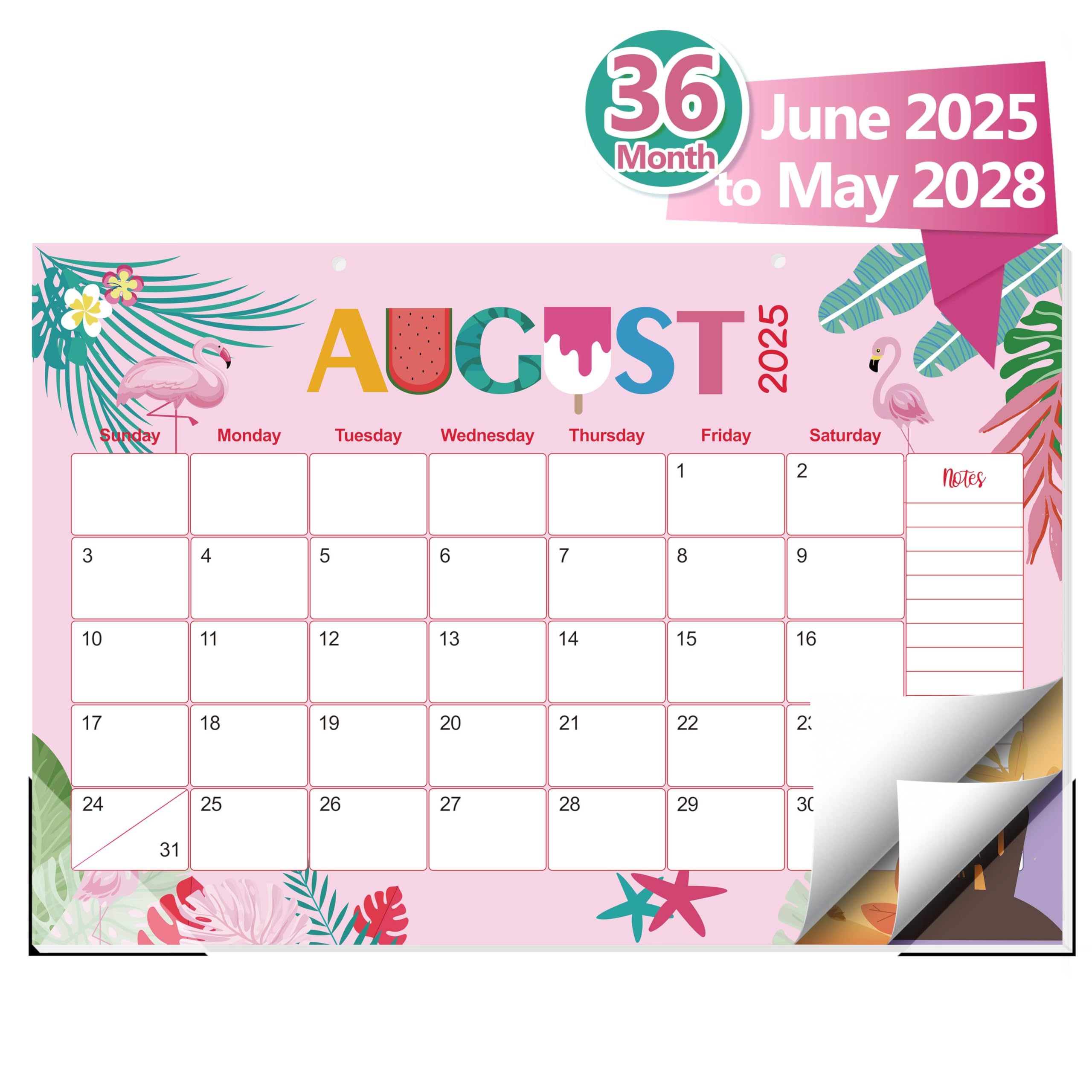 カレンダー・スケジュール opnner 2025 365 DAYS CALENDAR Amazon.co.jp: 2025年壁掛けカレンダー365日ポスターカレンダー