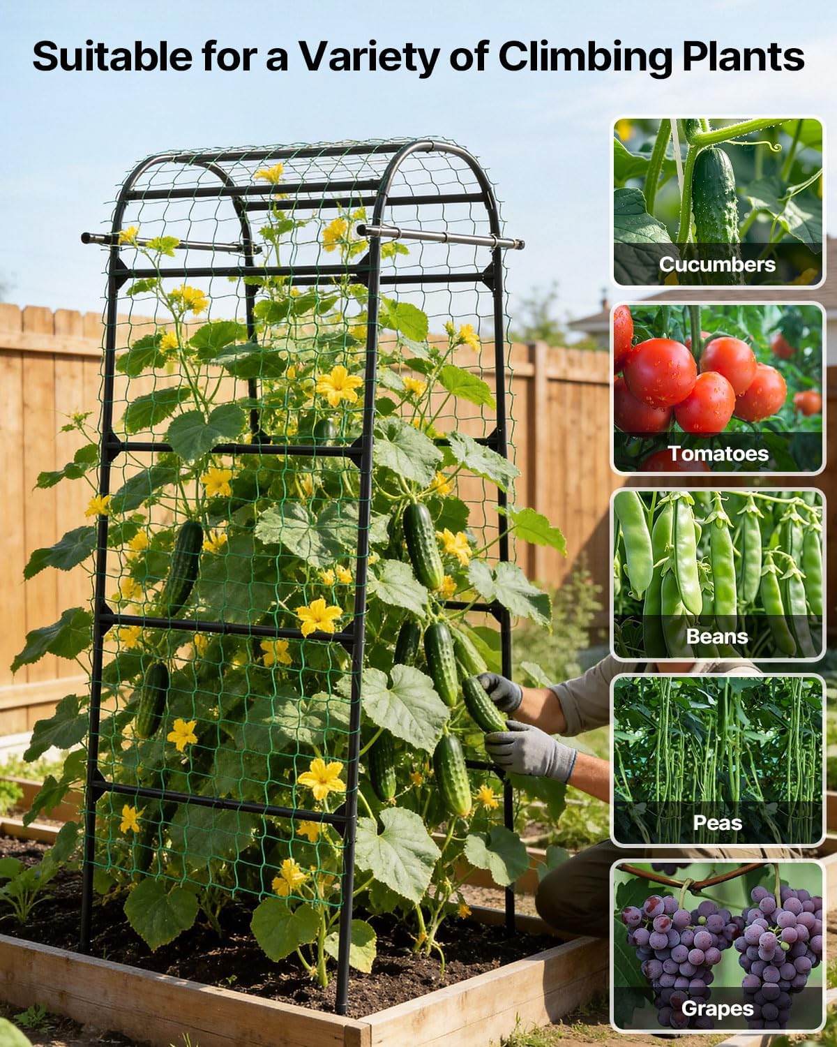 Suteck Garden Arch Cucumber Trellis – 85" Metal Garden Trellis Arch with Nylon Net for Climbing Vegetables, Vertical Plant Support for Raised Beds, Backyards & Patios, Ideal for Home Gardeners