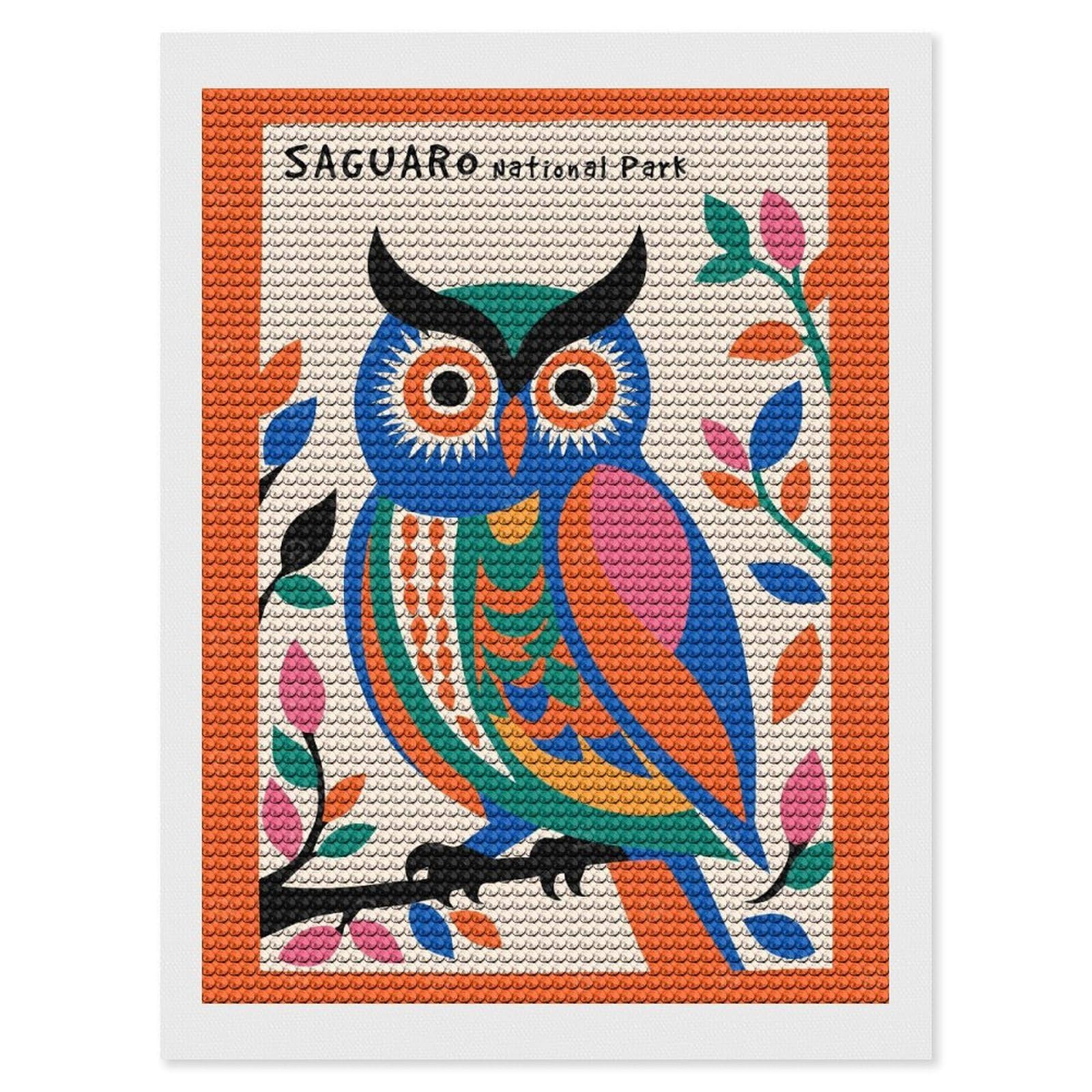 Junmoney Saguaro National Park Owl DIY Diamond Art Canvas Kit 12"x16", for Adults, Decorate Your Room, Gift Idea, Modern Decor, Finish and Display