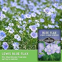 Vista 4 de Lewis Blue Flax Seeds for Planting - Plant & Grow Drought Tolerant Native Perennial Wildflowers Your Home Garden - Non-GMO Heirloom Variety