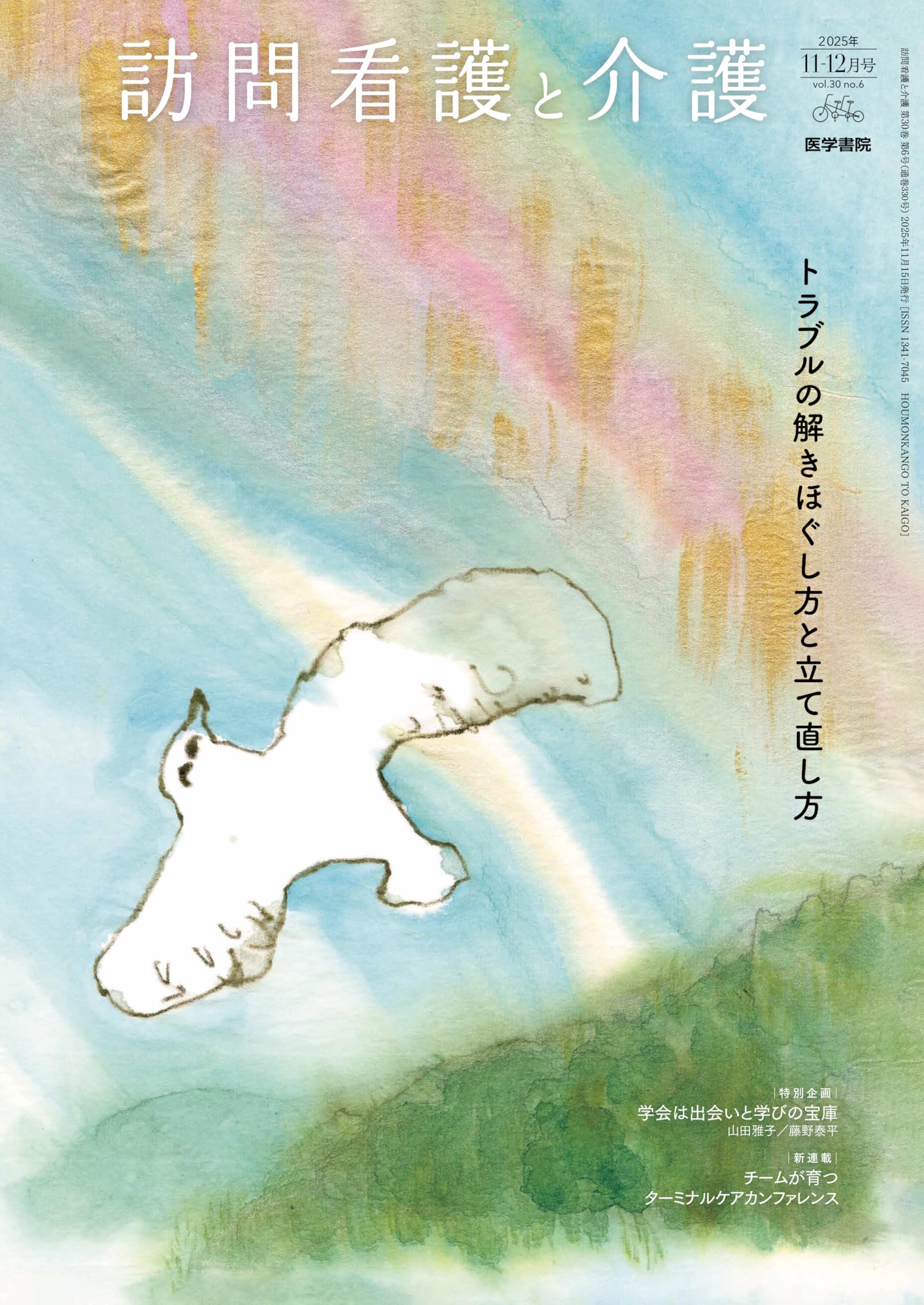 Amazon.co.jp: 訪問看護と介護 2025年11月号 トラブルの解きほぐし方と