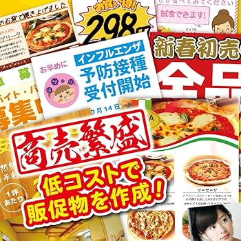 Amazon | 販促チラシ印刷5 | HDD・ファイル管理 | PCソフト