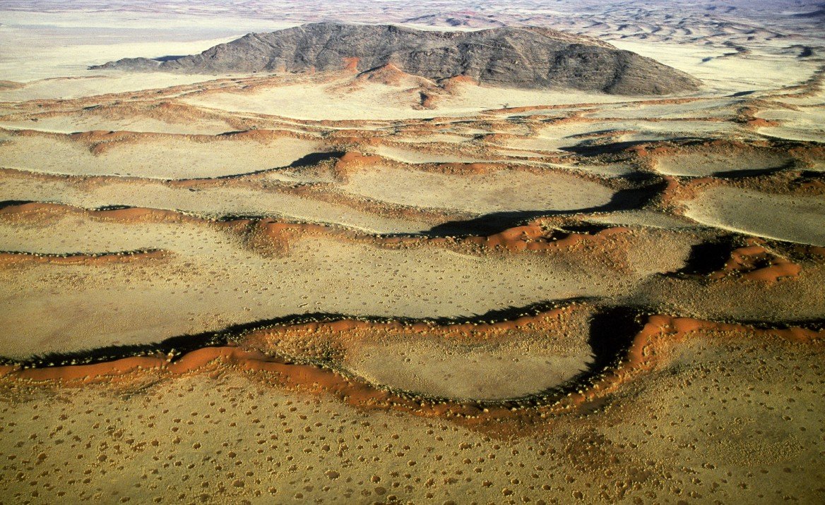 On Location: Die Welt der Naturfotografie