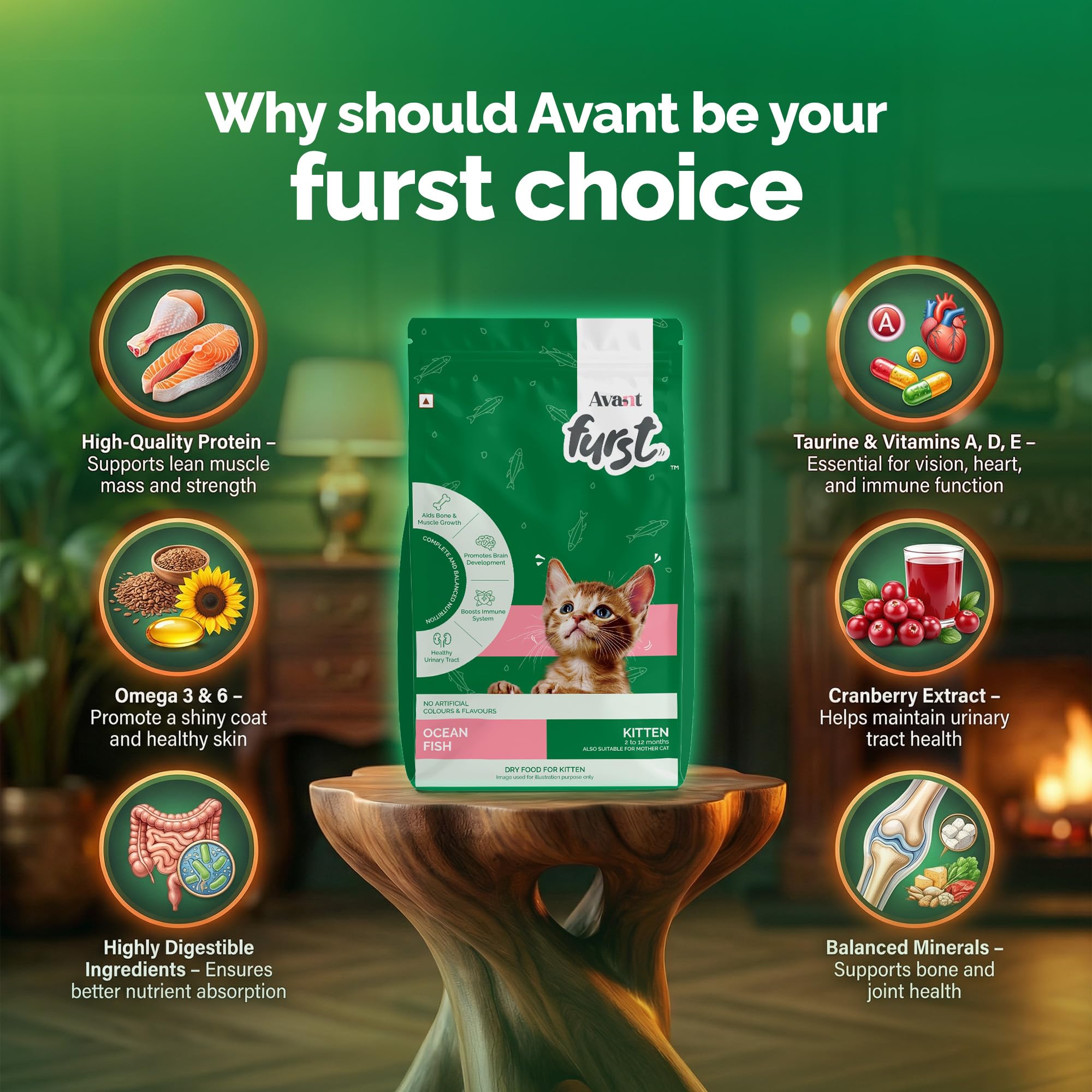 Avant Furst Kitten Dry Cat Food with Ocean Fish Flavor, Dry Kitten Food for 2β12 Months, No Artificial Additives, 2.8 kg 2