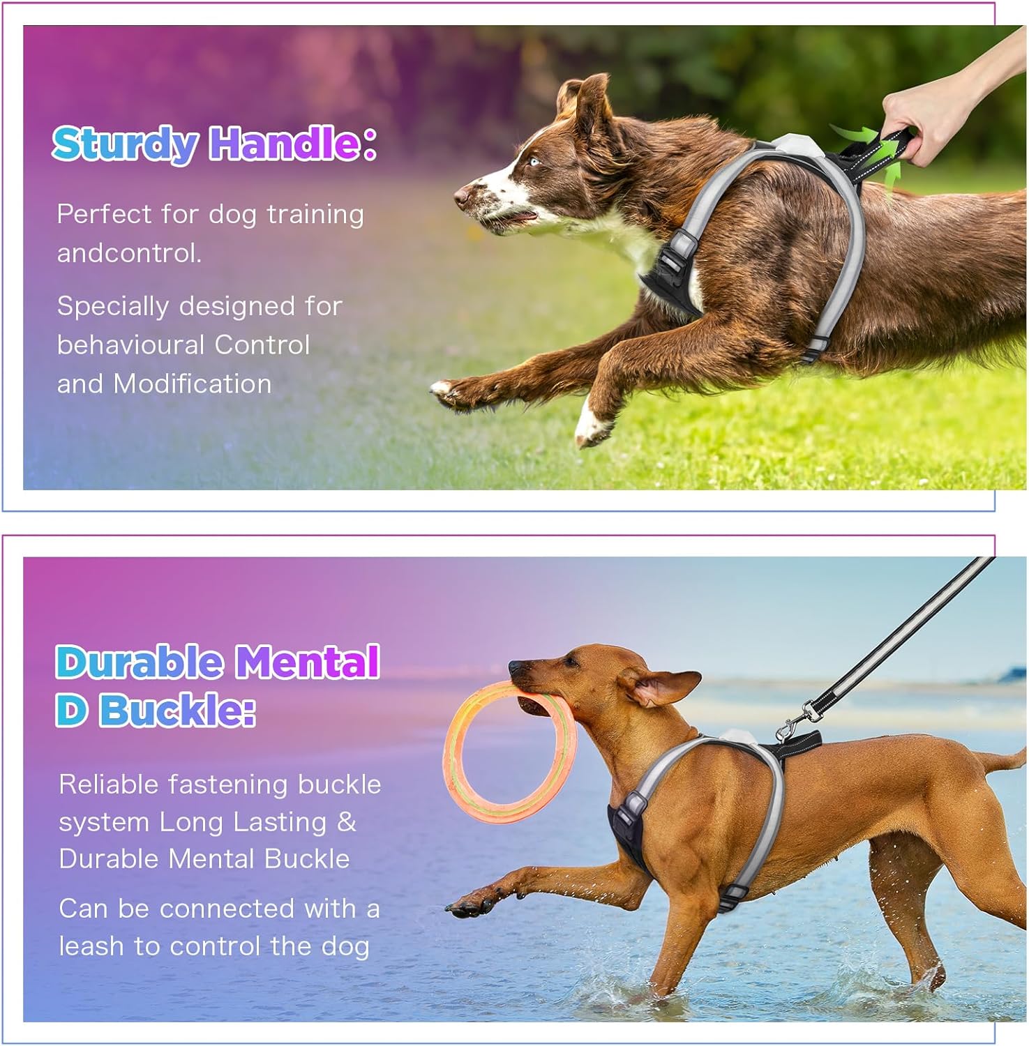 Light Up Dog Harness–Multicolor LED Dog Harness with 7 Lighting Modes | No Pull USB Rechargeable Safety Vest with Handle for Medium Large Dogs | Waterproof Adjustable Glow-in-The-Dark Illuminated(XL)