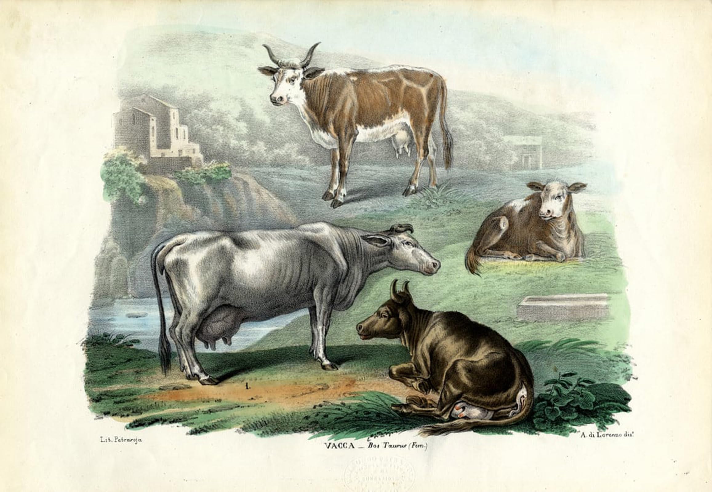 POSTERIIk Famous Animal Posters Vintage Picture Shipping Officials by Carlo Pellegrini Modern Wall Decor for Home Decor 60x90cm
