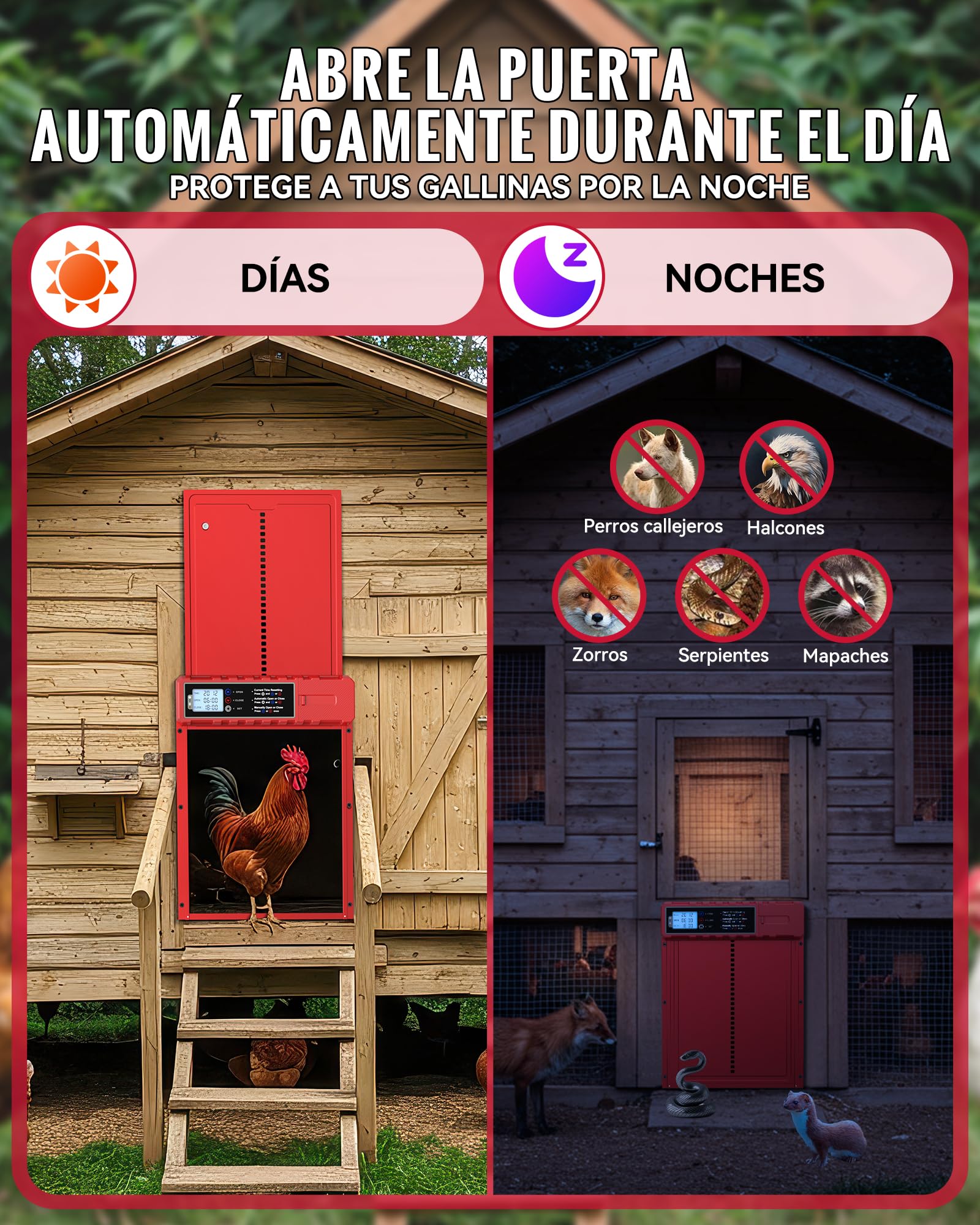 Puerta Gallinero Automatica Solar Roja con 3 Modos, Proteccion contra Pinchazos, Aluminio Resistente a la Intemperie