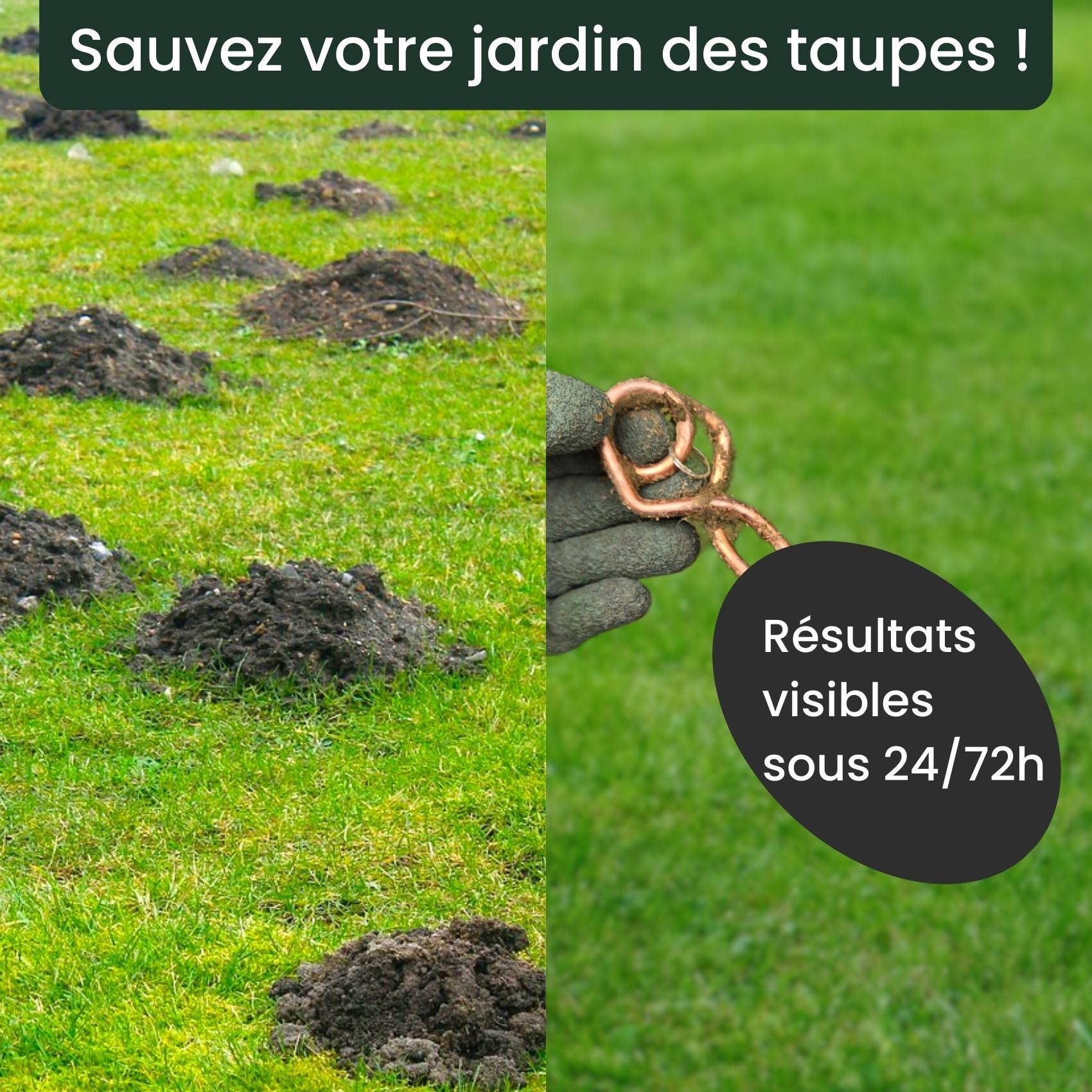 Piege a Taupe - Kit de 4 Anti Taupe Efficace - Pince Installation Facile - Putange Professionnel - Produit Anti Taupe - Anti nuisible - Détente soudée améliorée - Éliminer Les Taupes