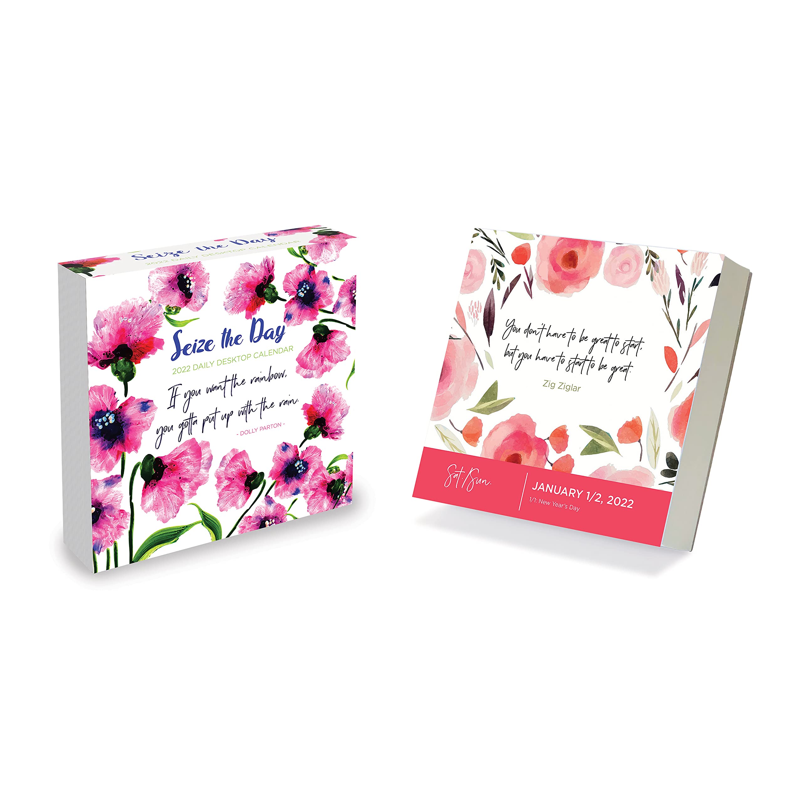 TF Publishing2022 Seize the Day Daily Desktop Calendar - Home or Office Organization - Tear-Off Pages - Fold-Out Cardboard Easel - 5.25” x 5.25”