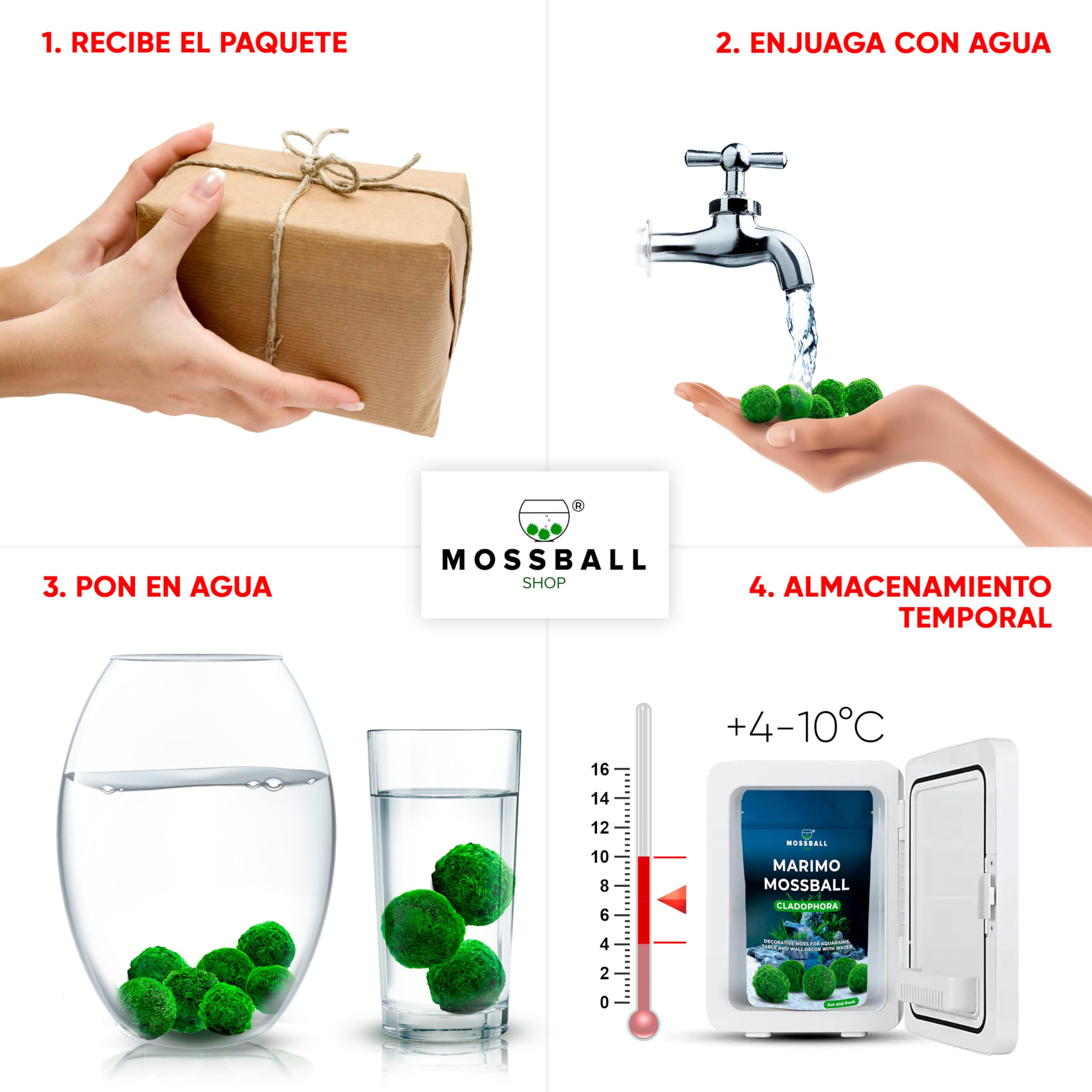 20 + 1 szt. kule mchu akwarium Cladophora aegagropila linneiae mech rośliny akwariowe rośliny wodne dekoracja rośliny prawdziwe marimo piłki mchu akwarium marimo moosball (1-3 cm)