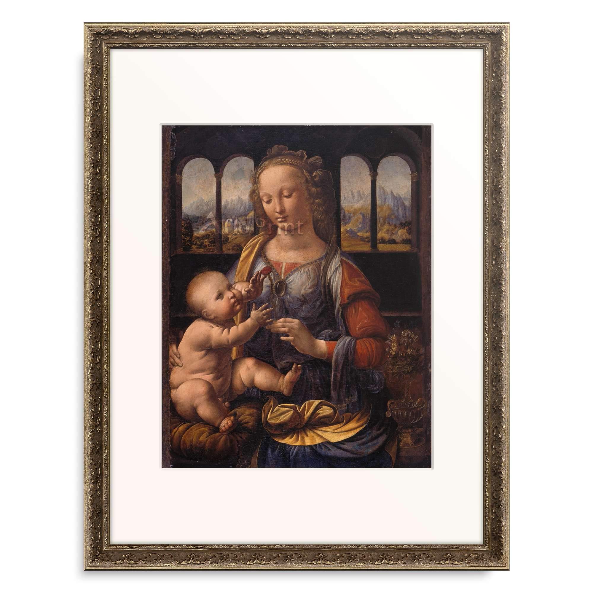 Amazon｜レオナルド・ダ・ヴィンチ Leonardo da Vinci