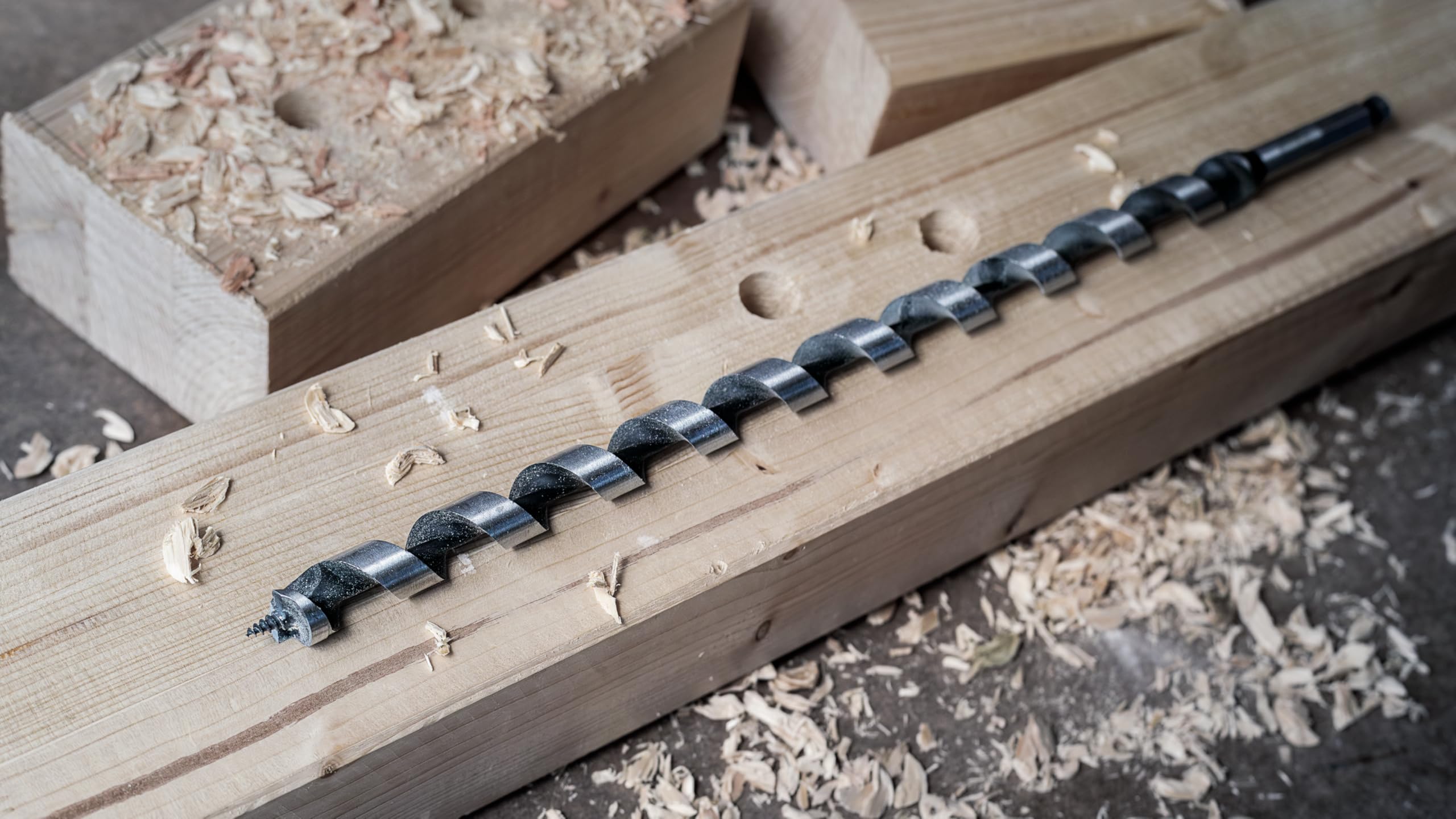 Bosch 1x Punta per travi PRO Wood (per Legno tenero, Legno duro, Ø 20,00 mm, Professional Accessorio Trapano)